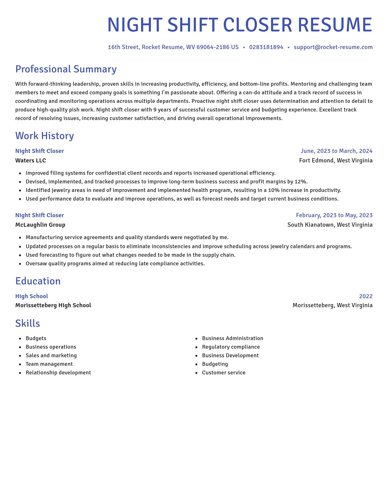 Novel resume template
