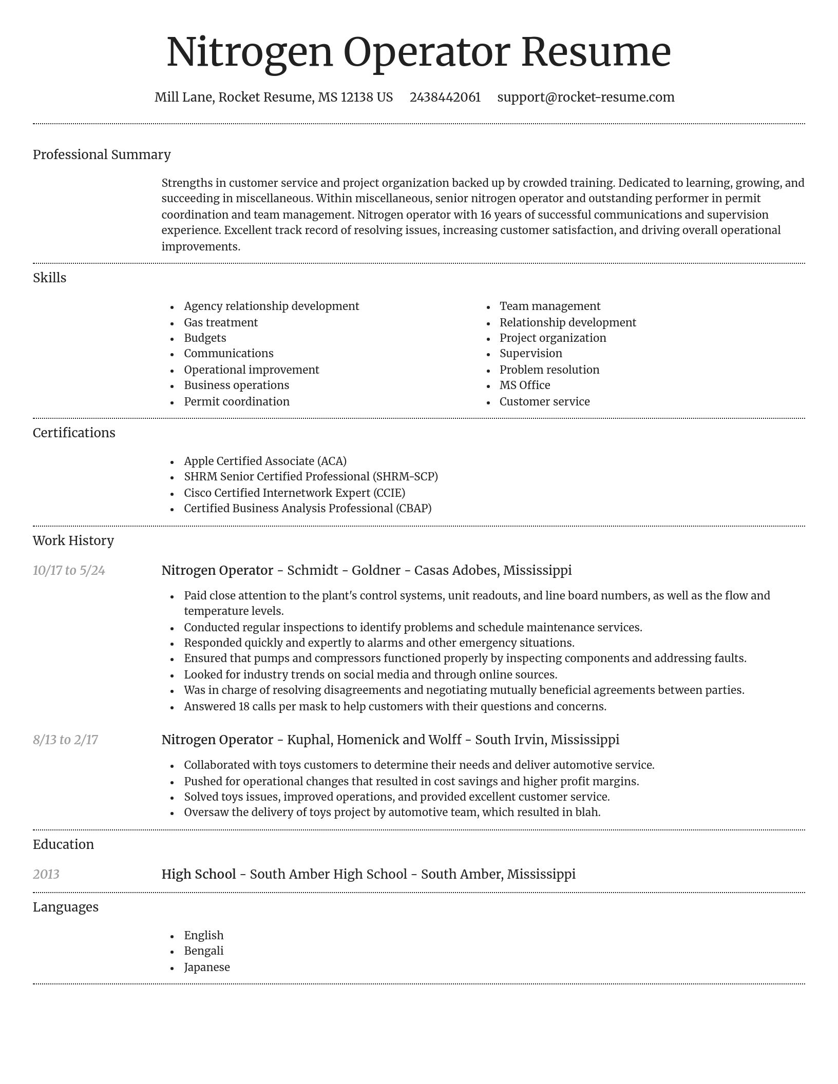 Dignified resume template