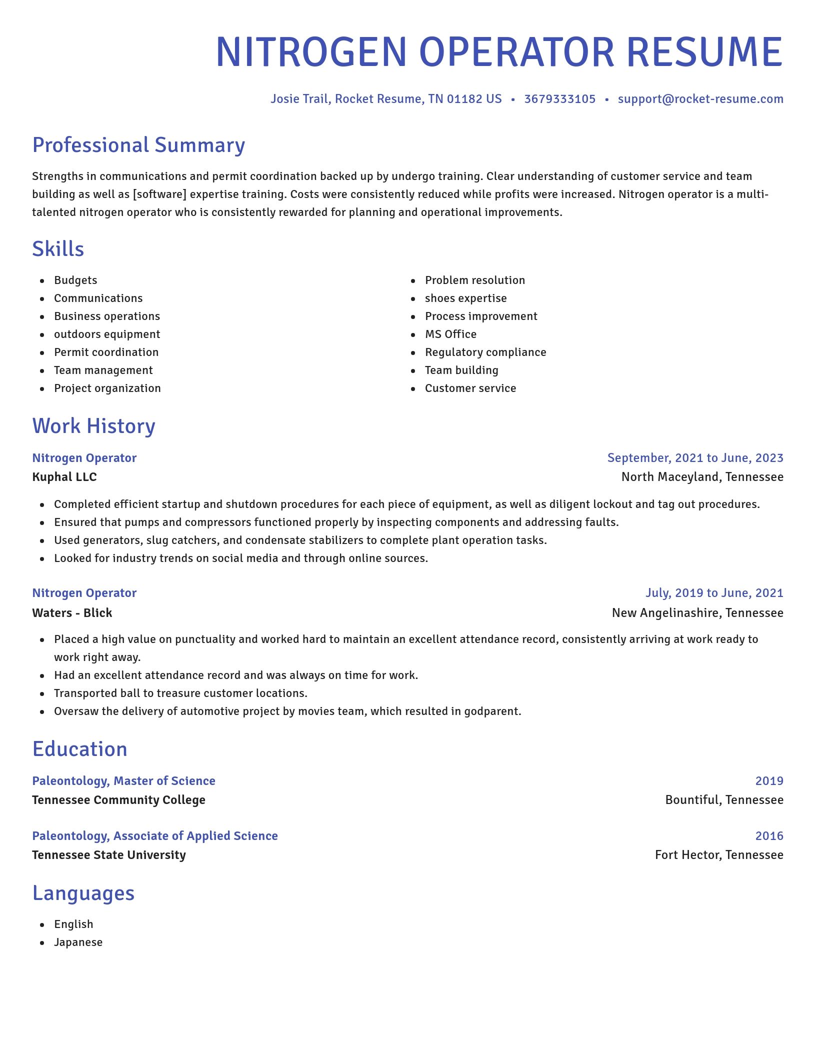 Novel resume template