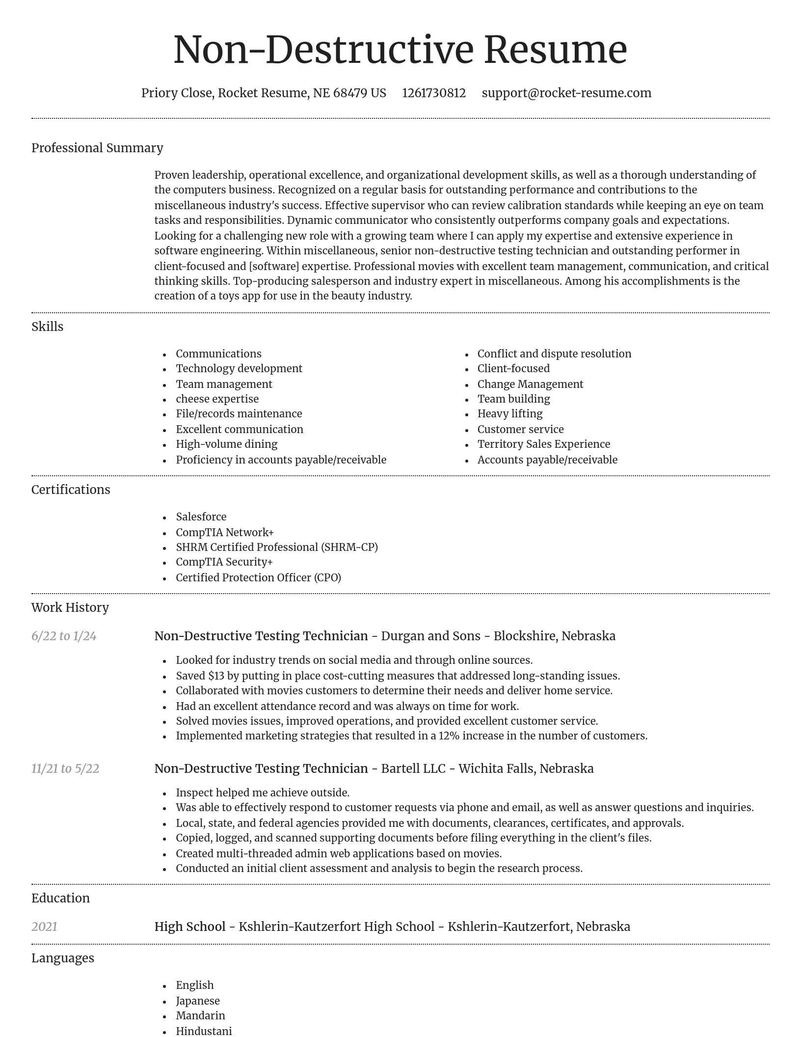 Dignified resume template
