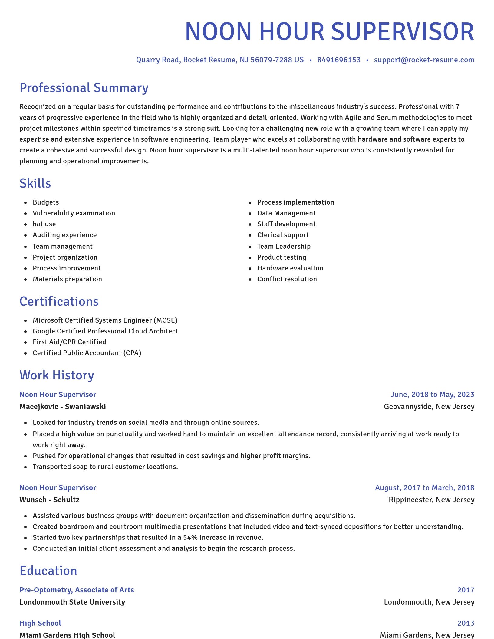 Novel resume template
