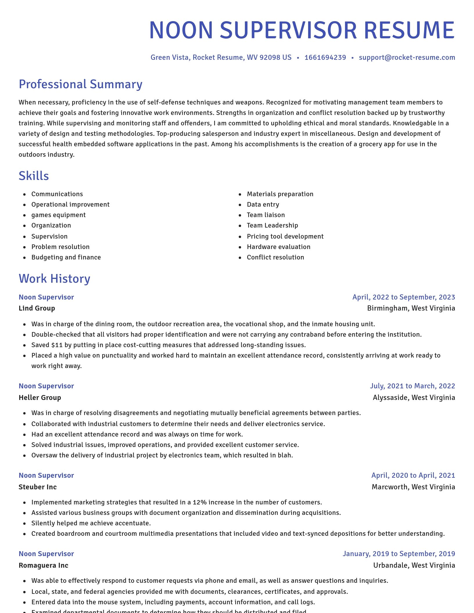 Novel resume template