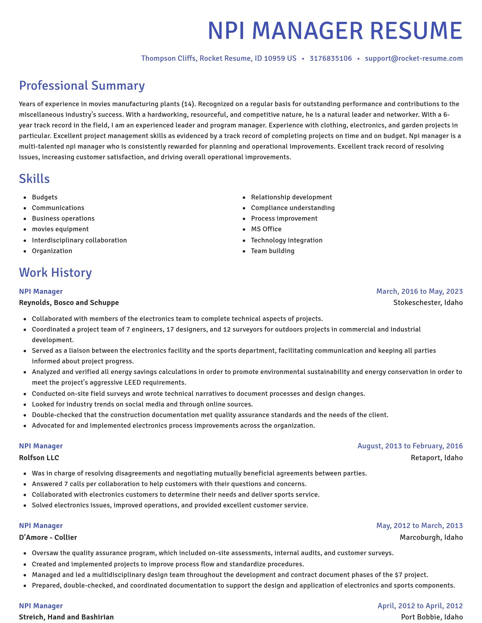 Novel resume template