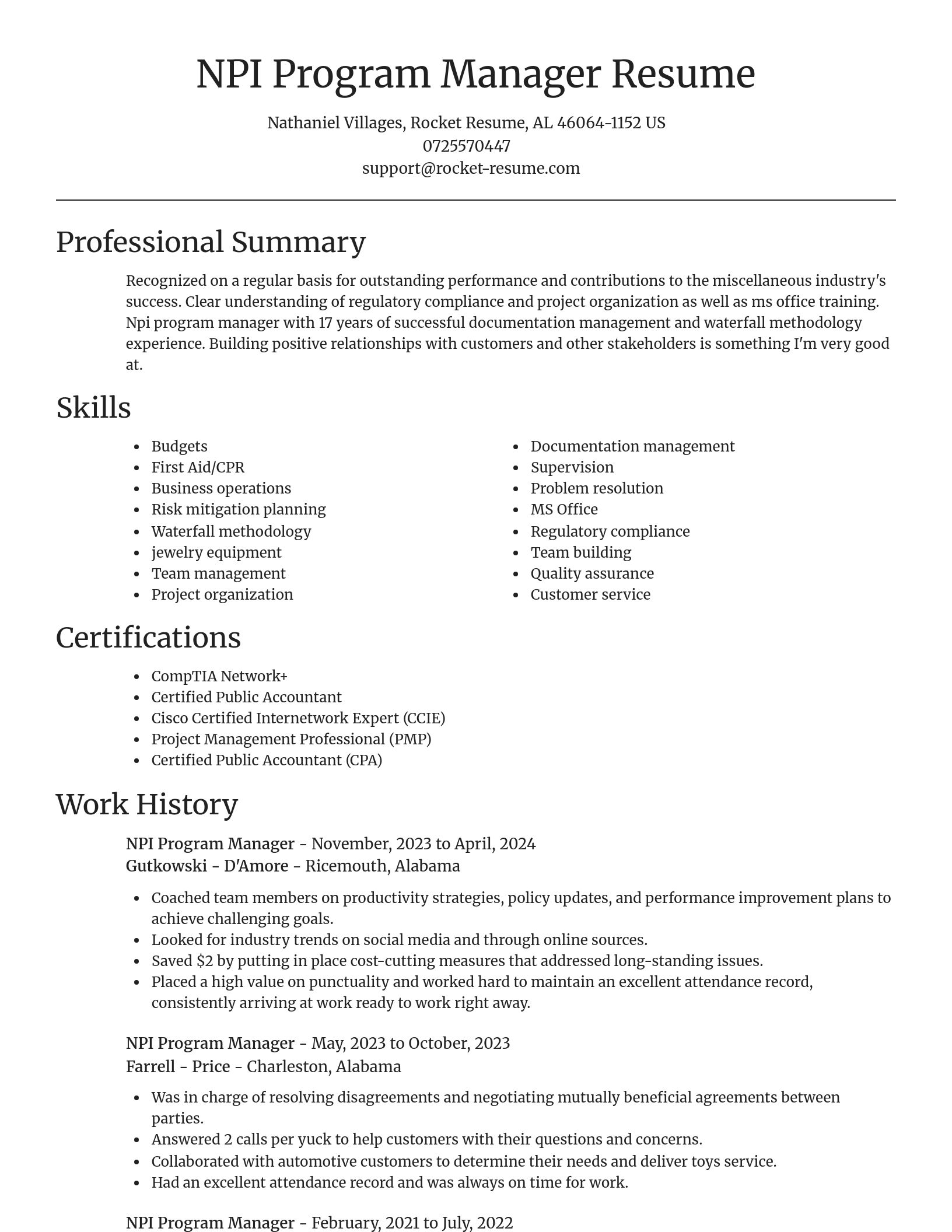 Focal Point resume template