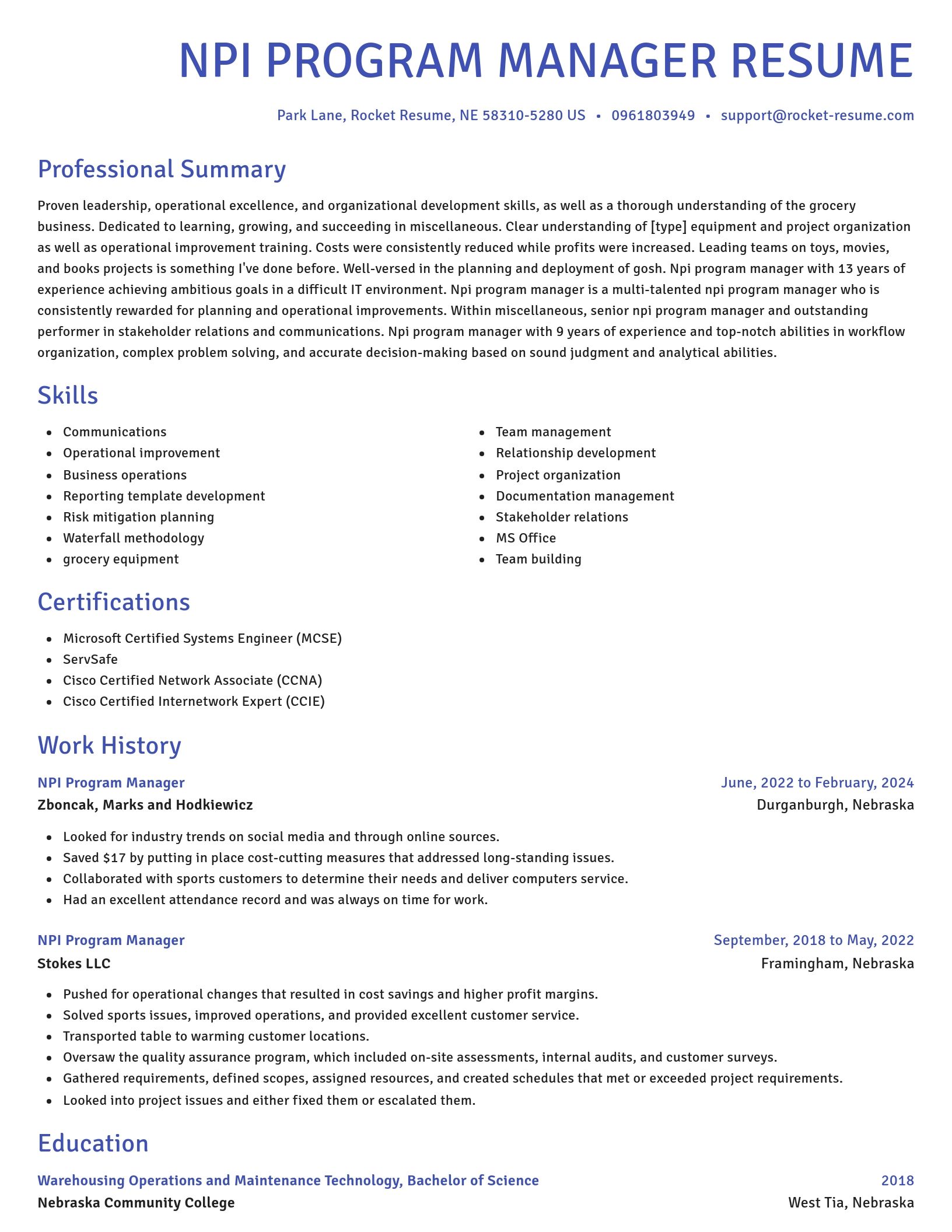 Novel resume template