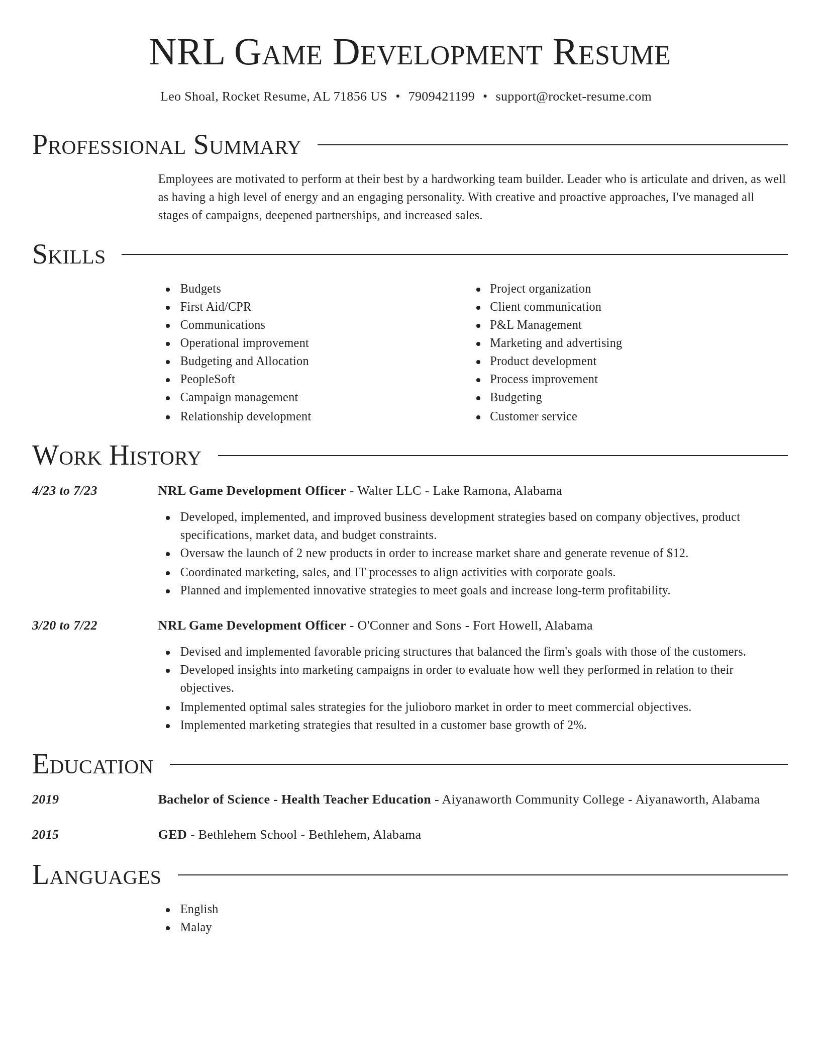 Director resume template