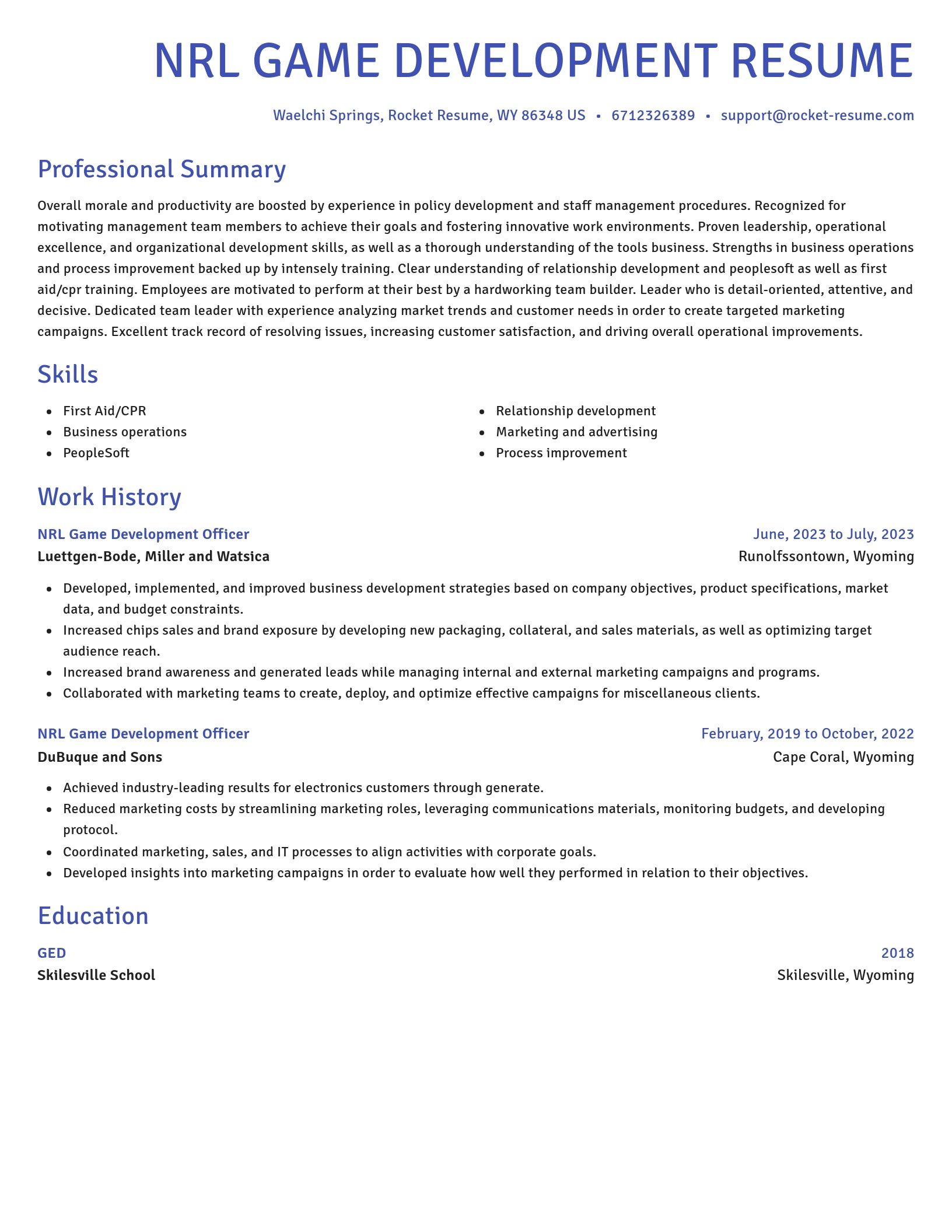 Novel resume template
