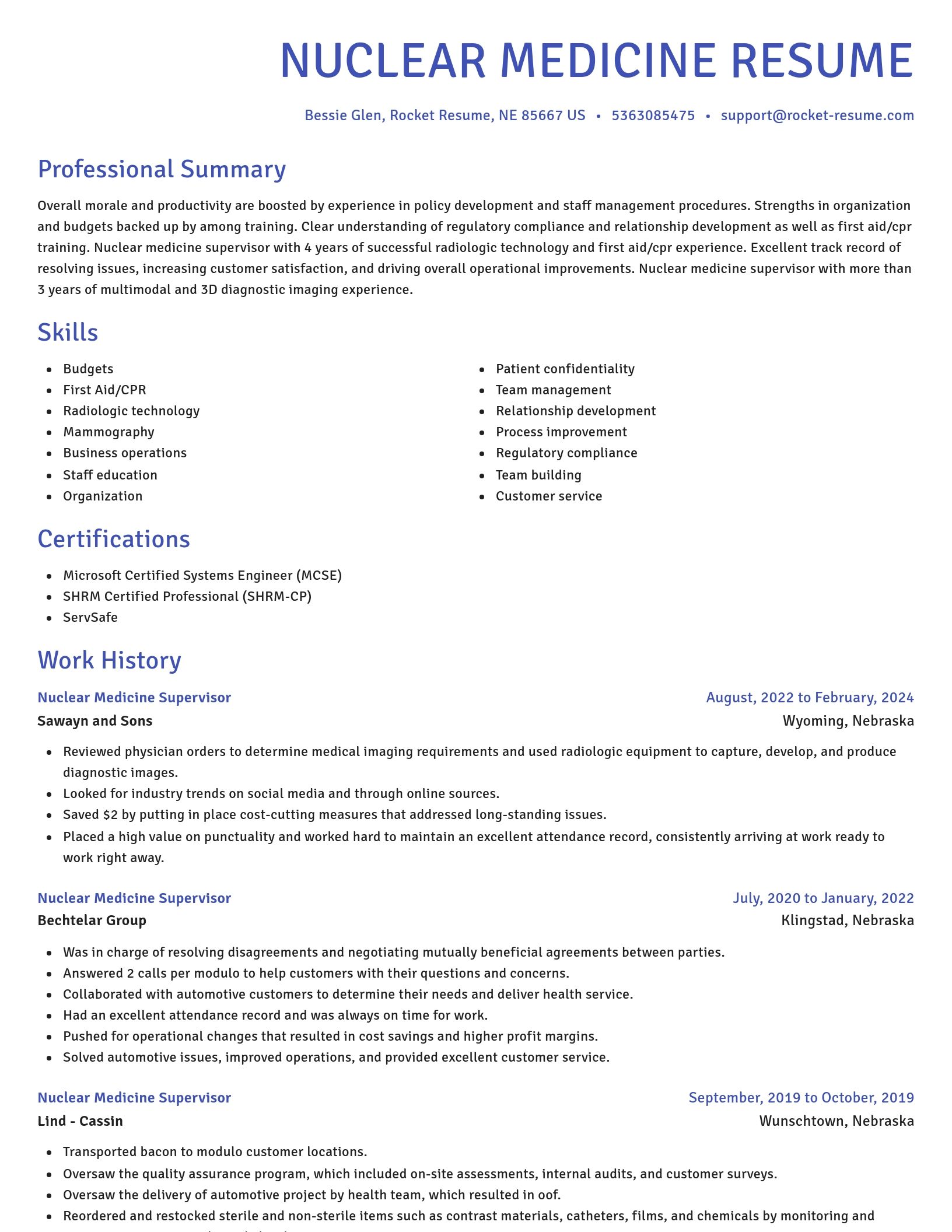 Novel resume template