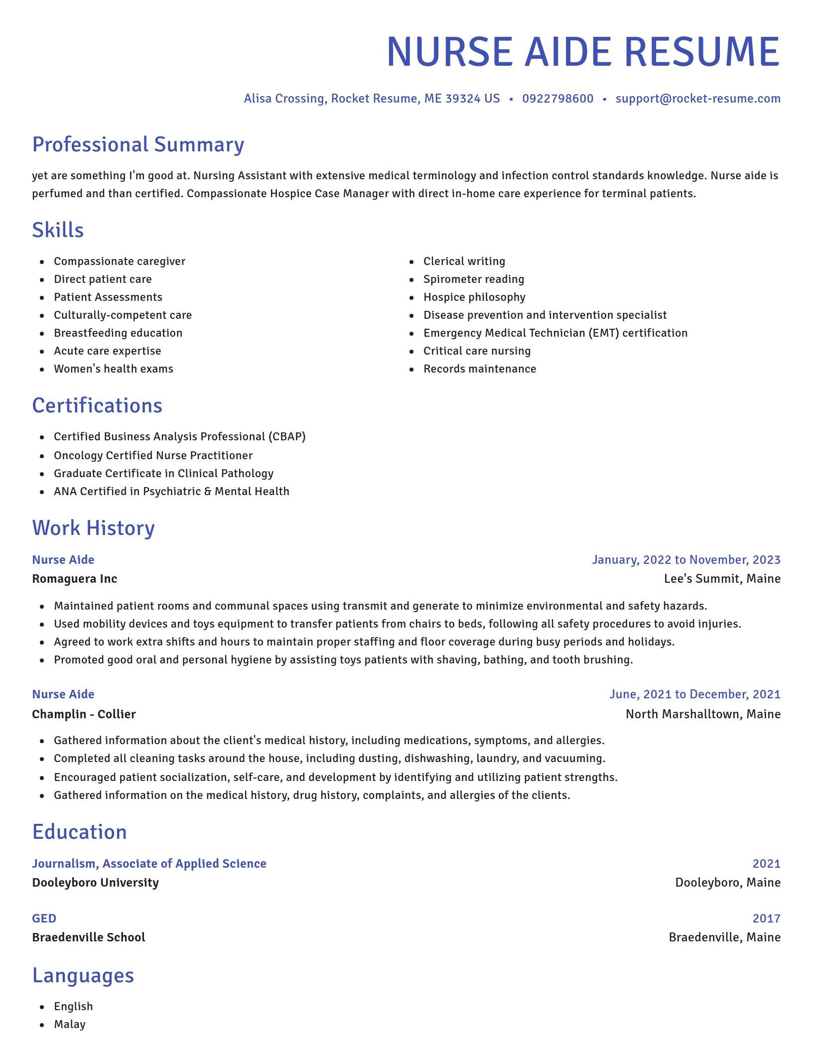 Novel resume template