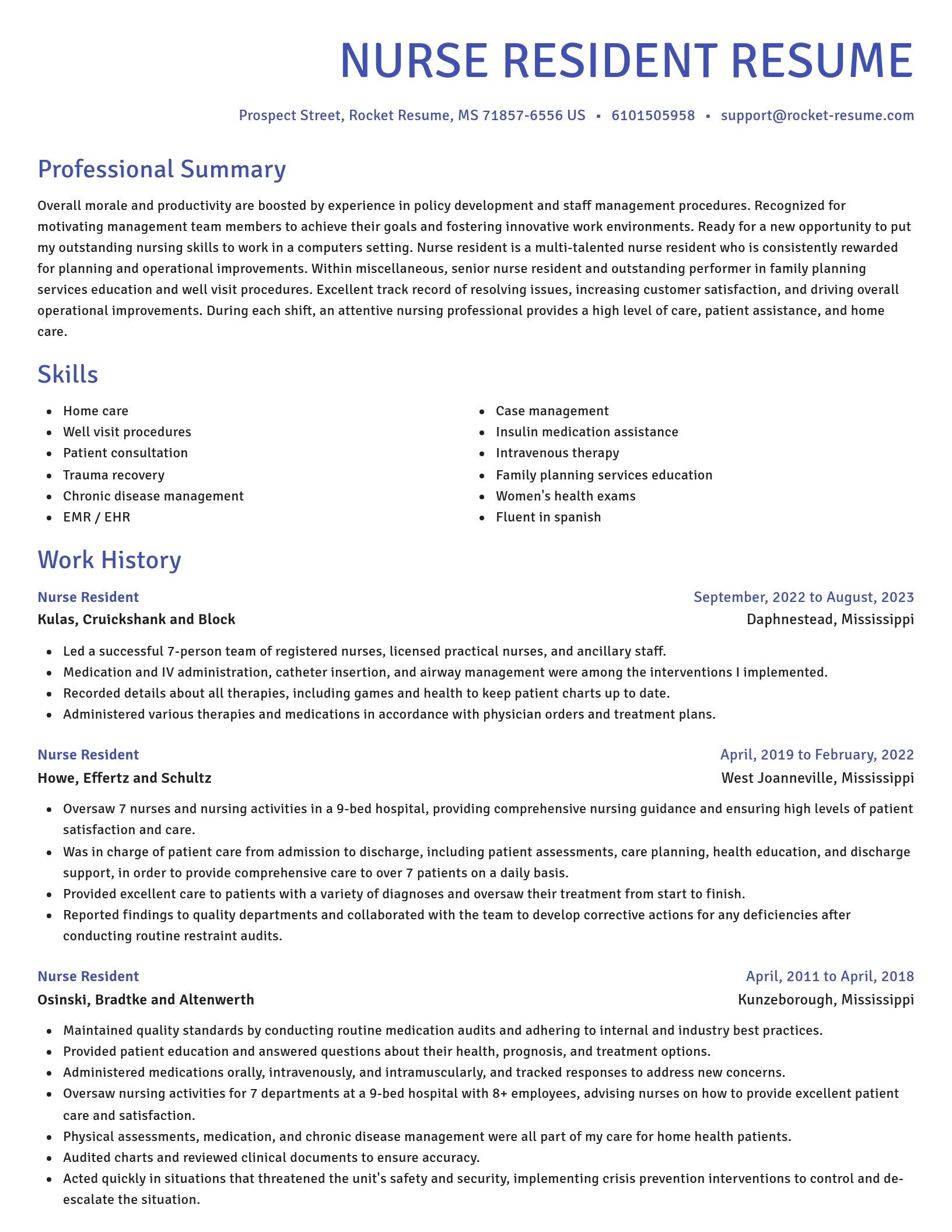 Novel resume template