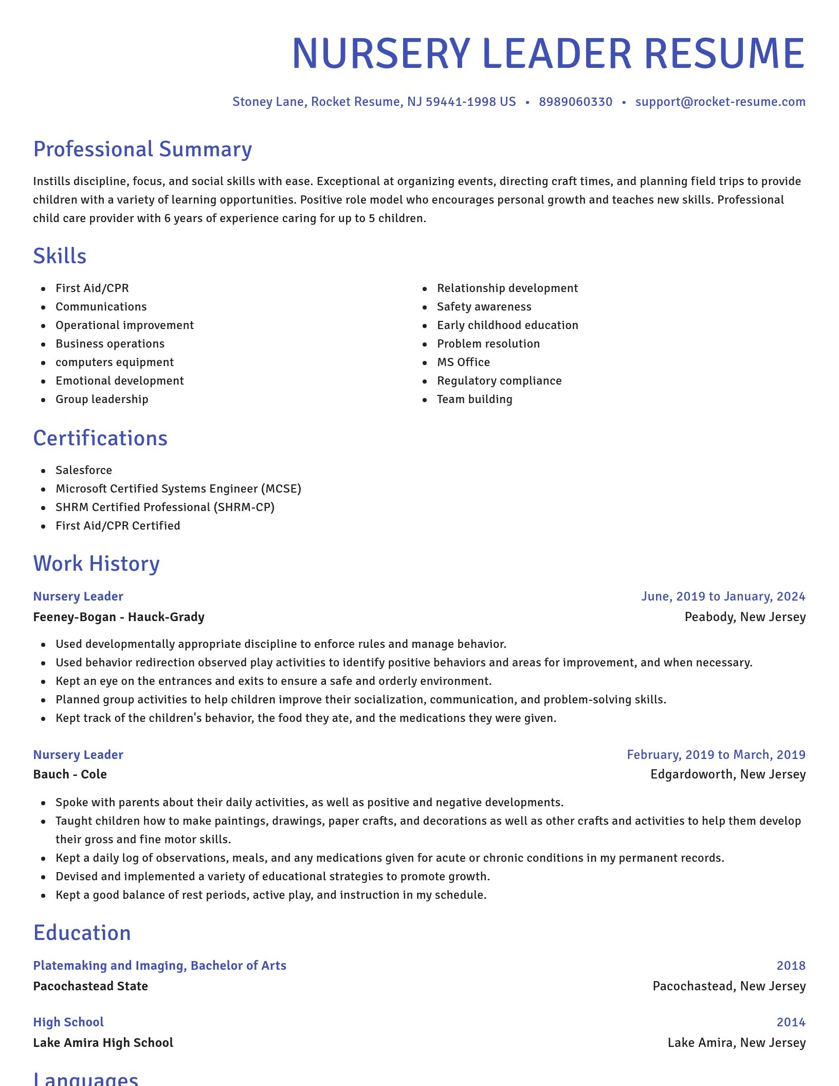 Novel resume template