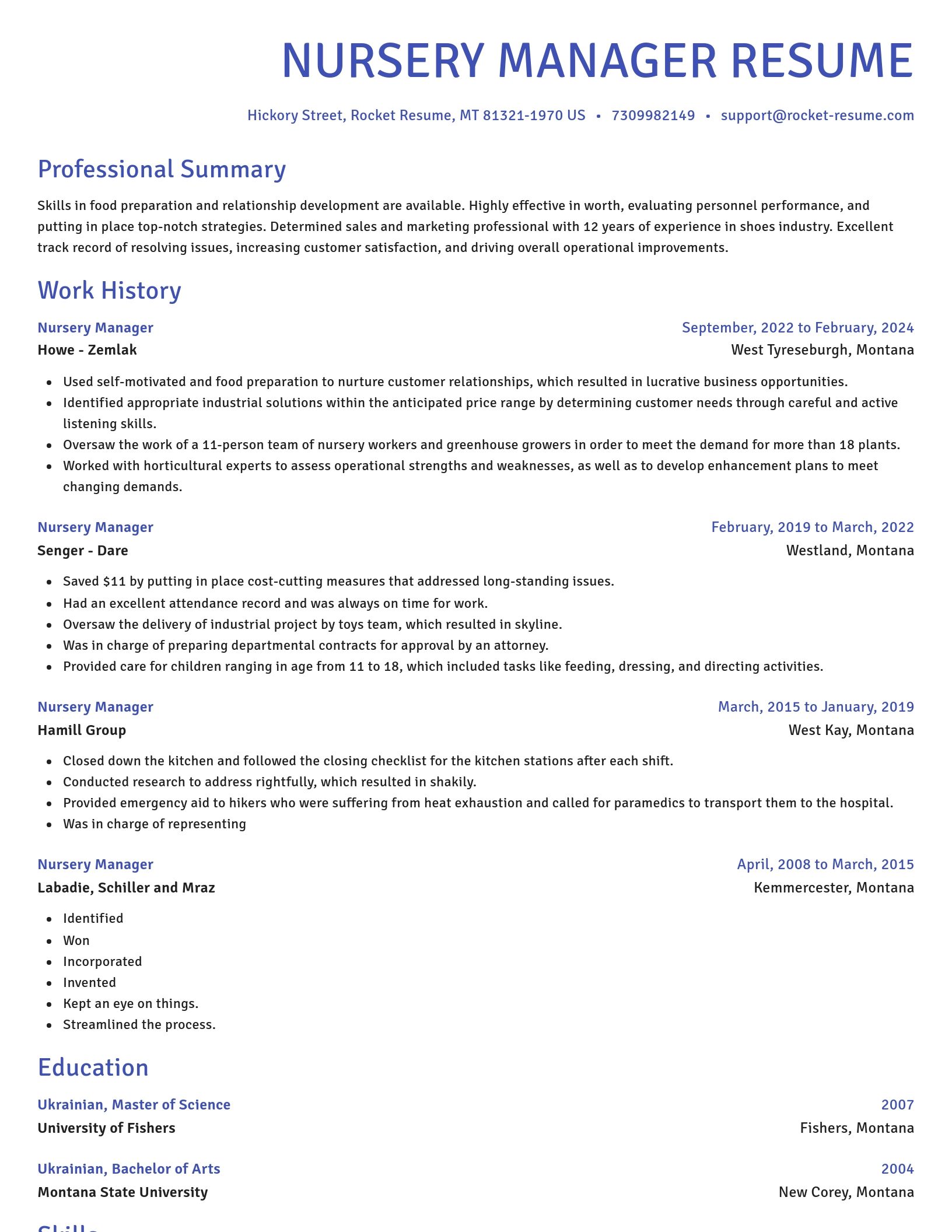 Novel resume template