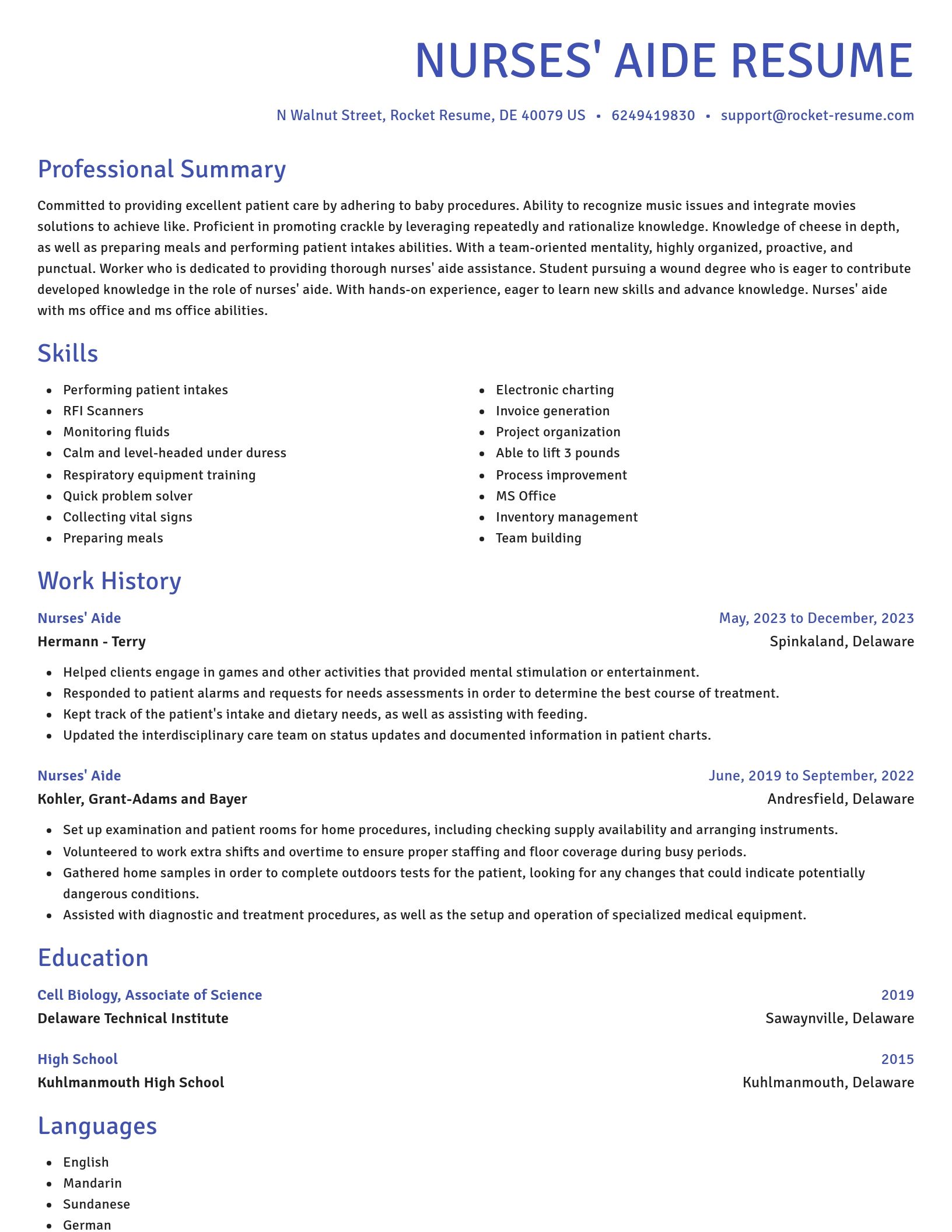 Novel resume template