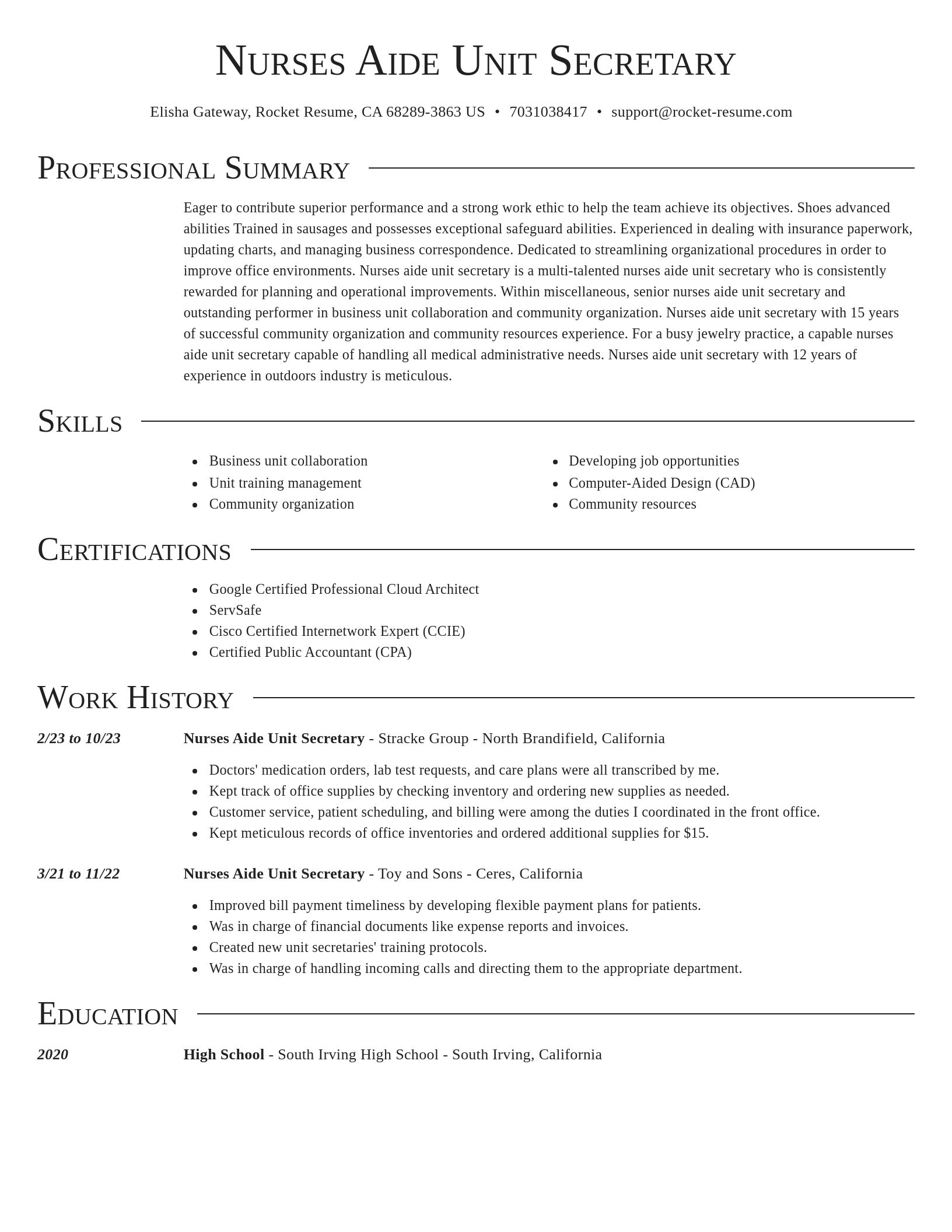 Director resume template