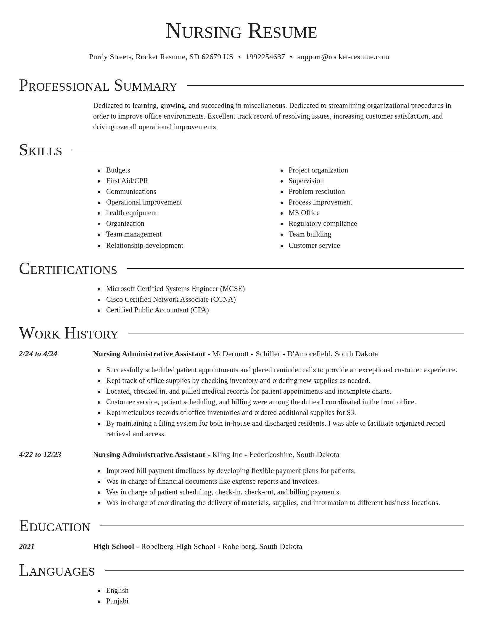 Director resume template