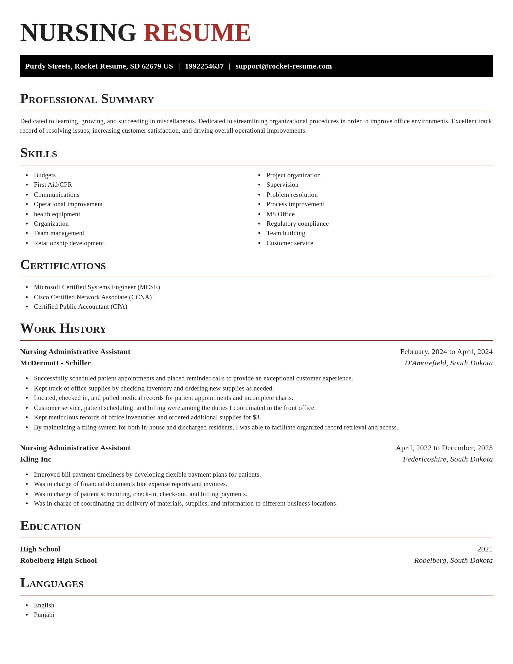 Exquisite resume template