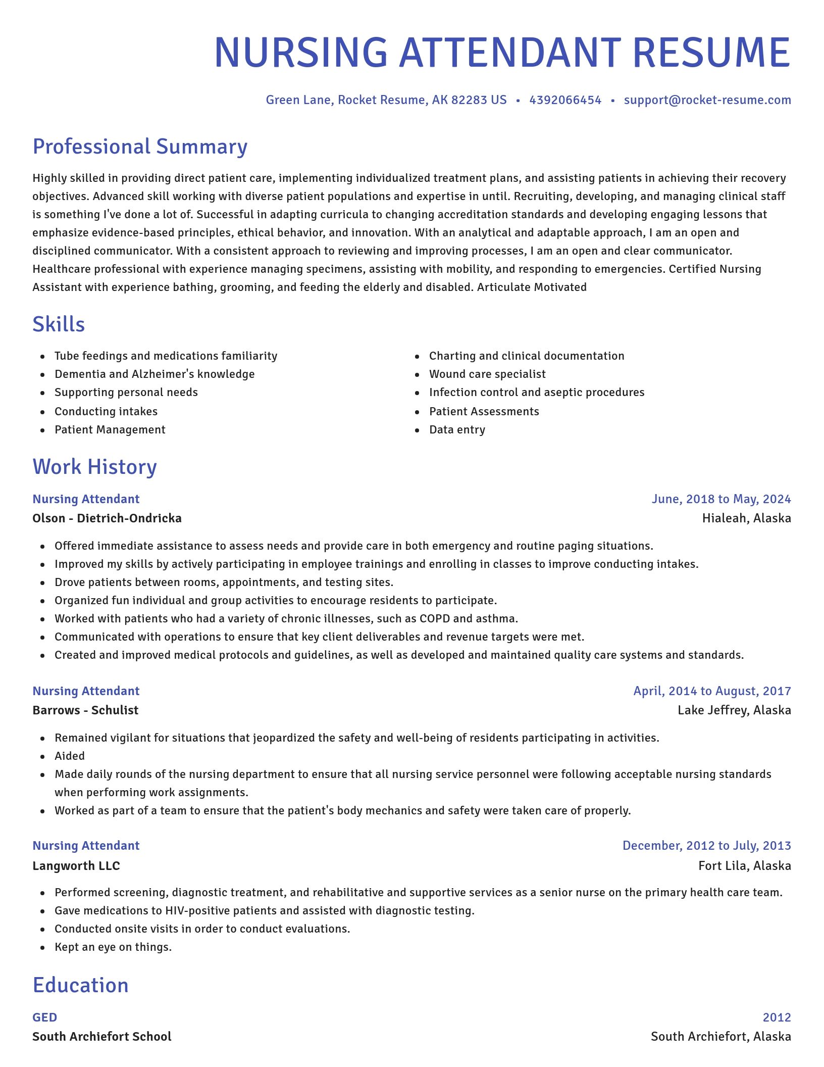 Novel resume template