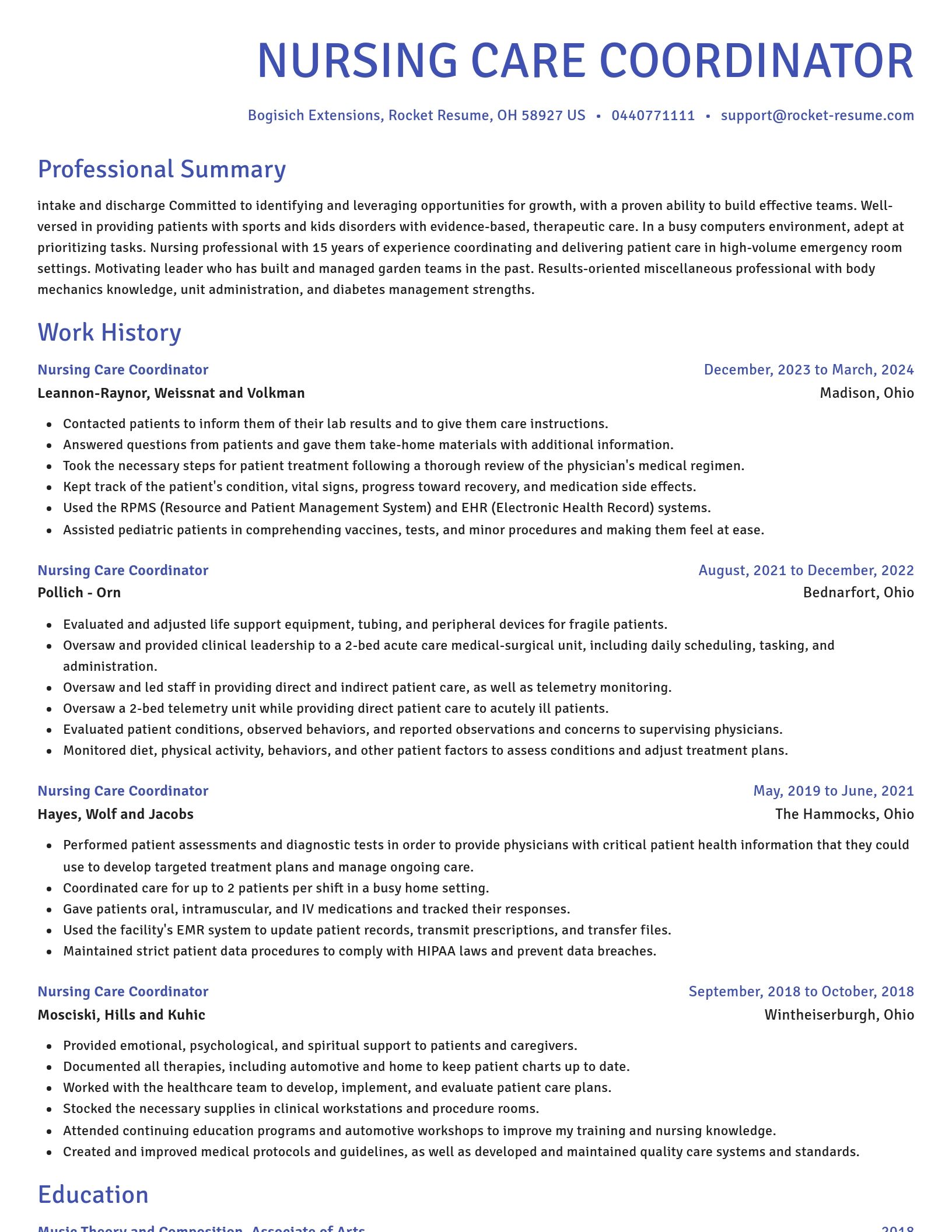 Novel resume template