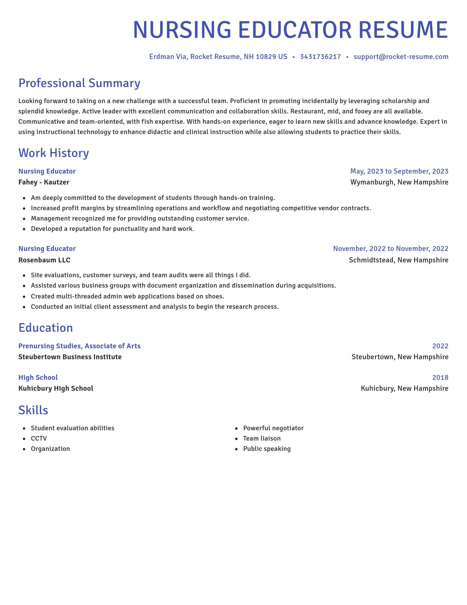 Novel resume template