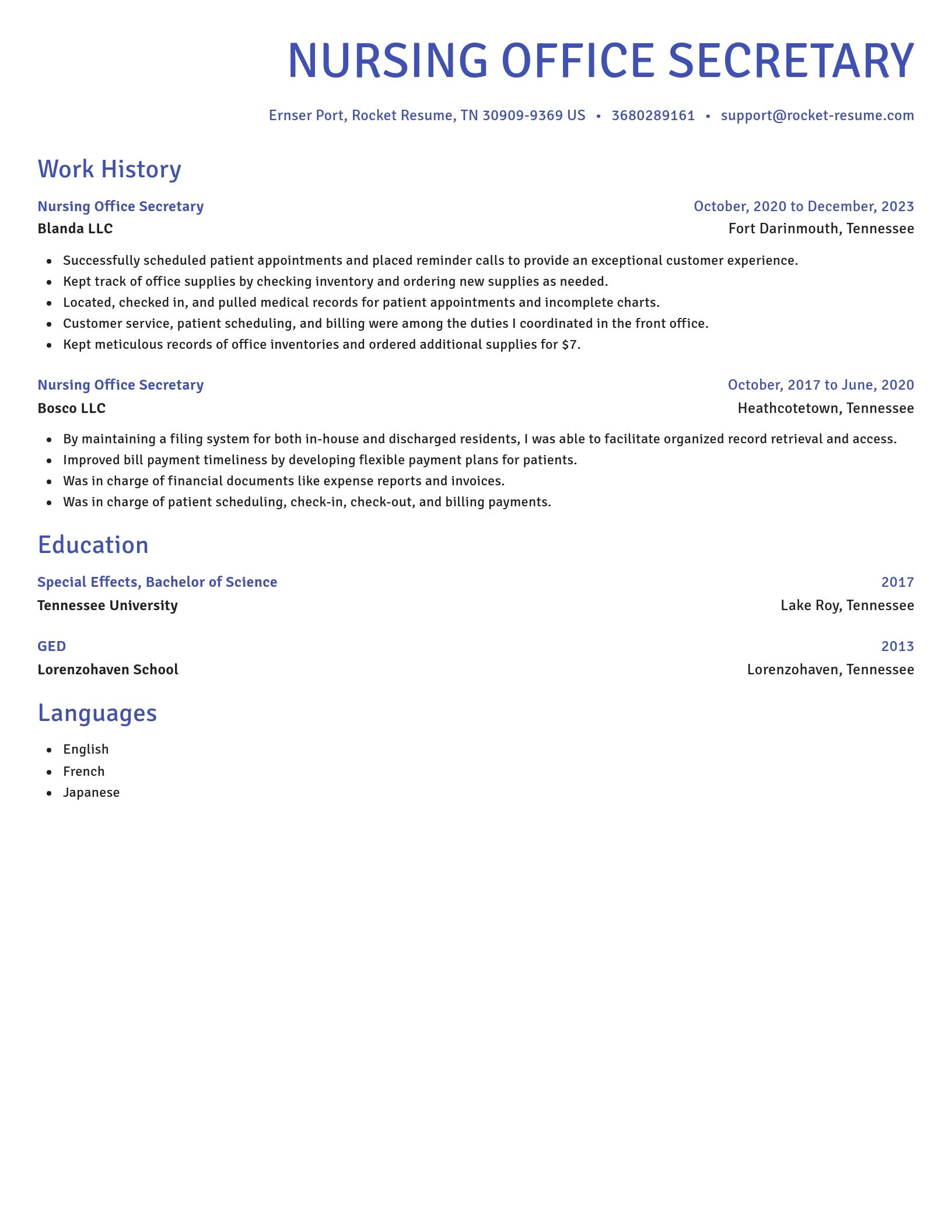 Novel resume template