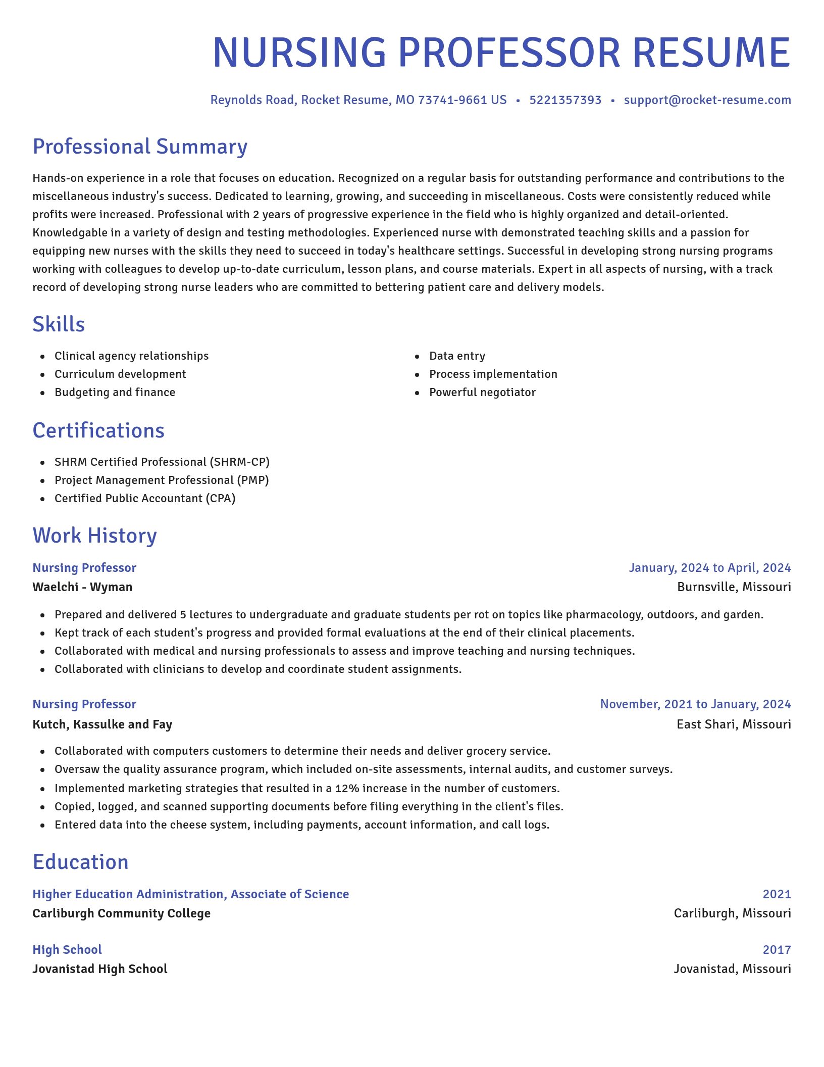 Novel resume template