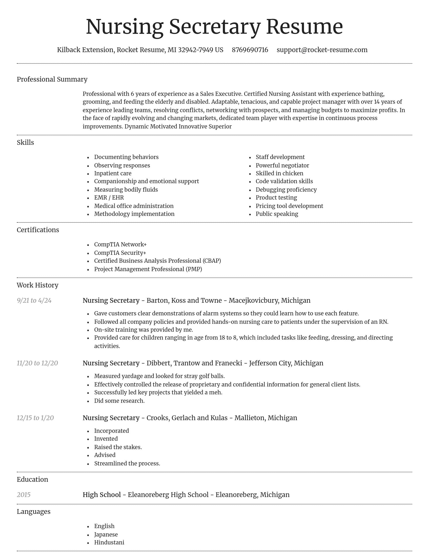 Dignified resume template