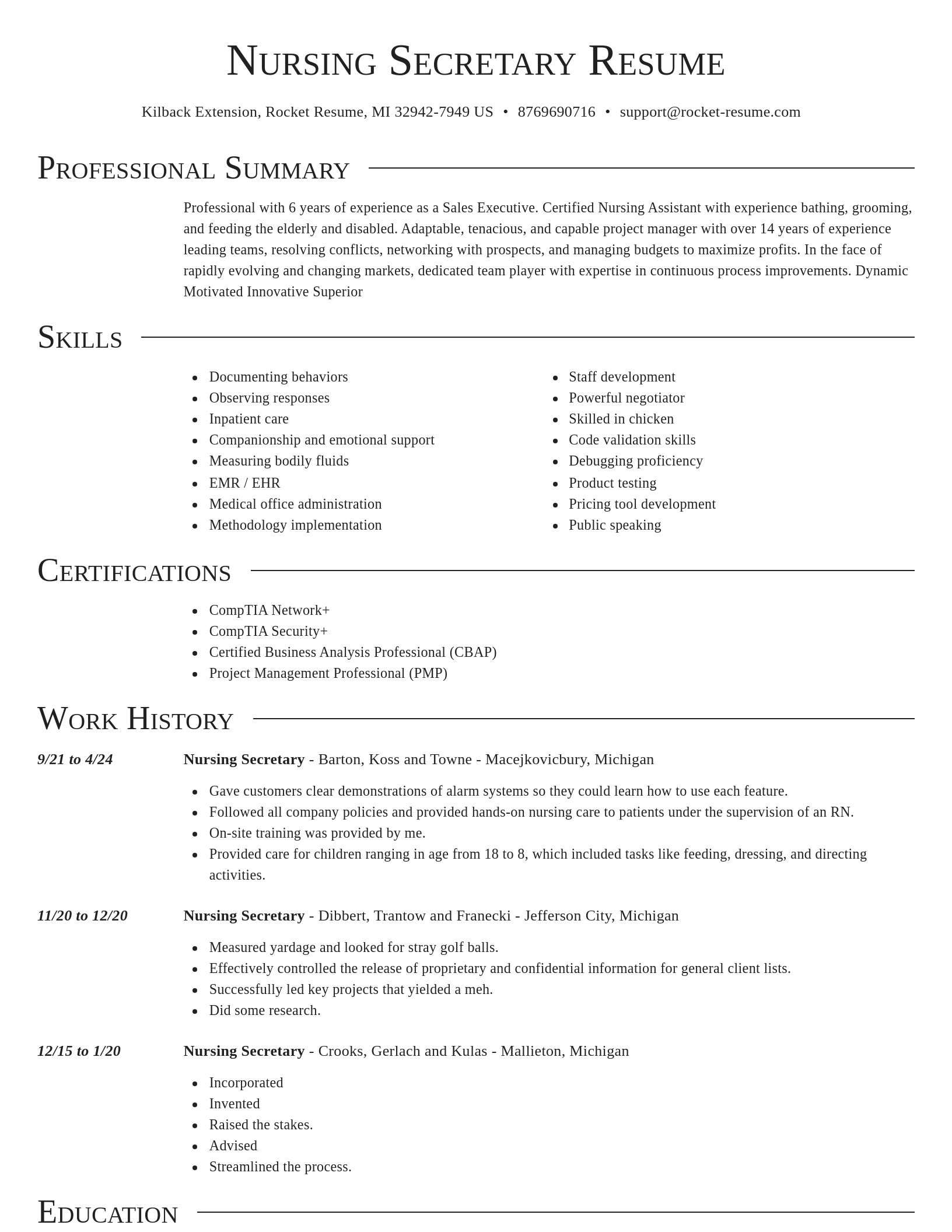 Director resume template