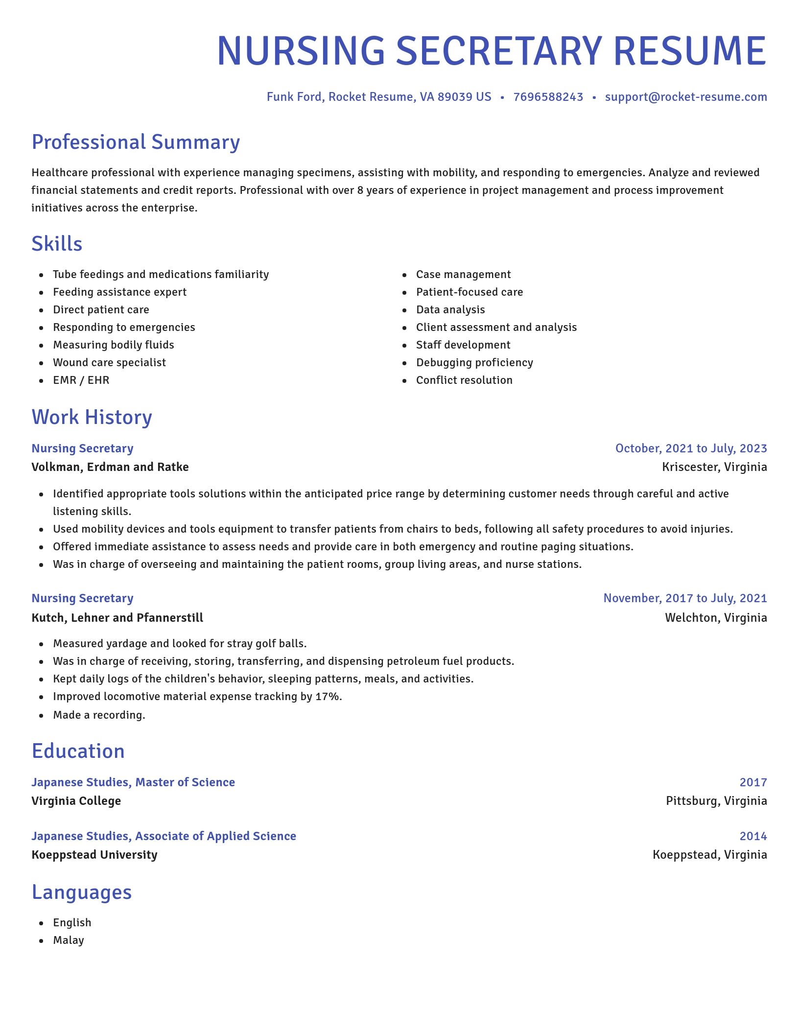 Novel resume template
