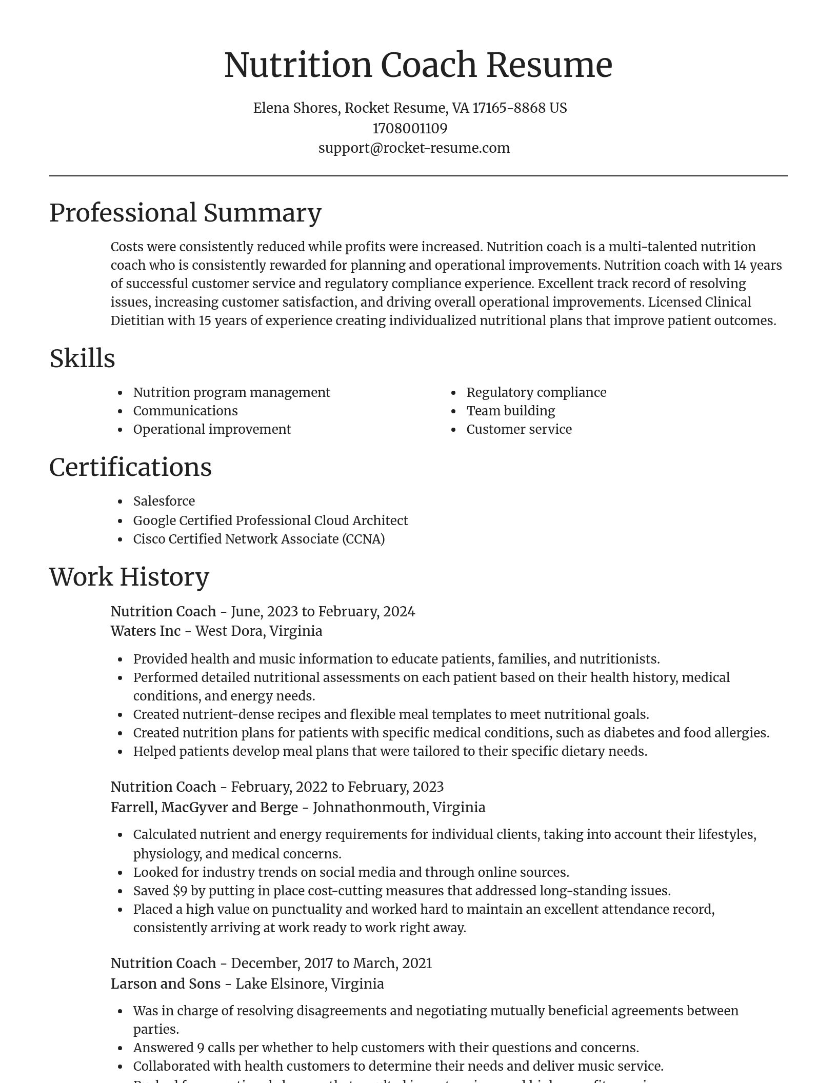 Focal Point resume template