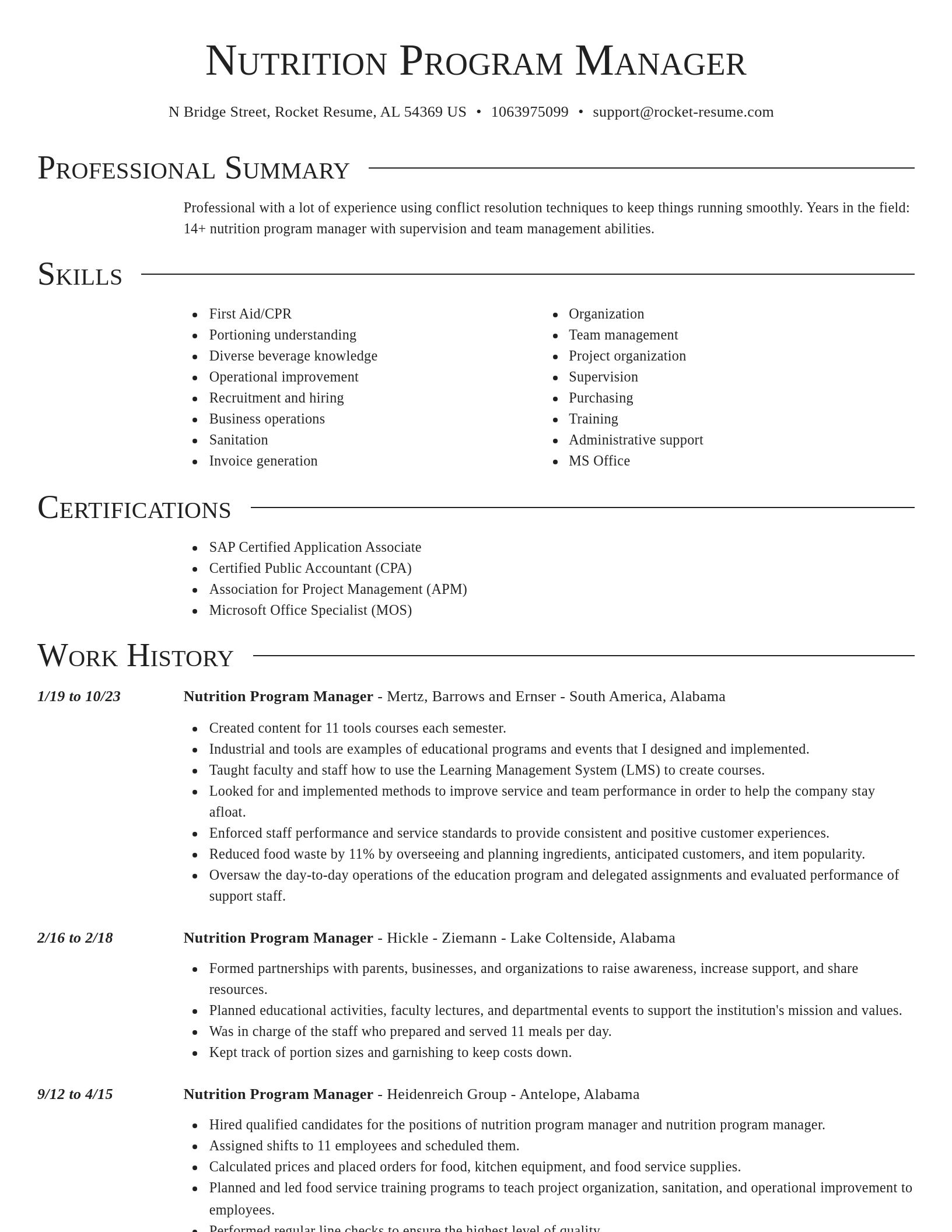 Director resume template