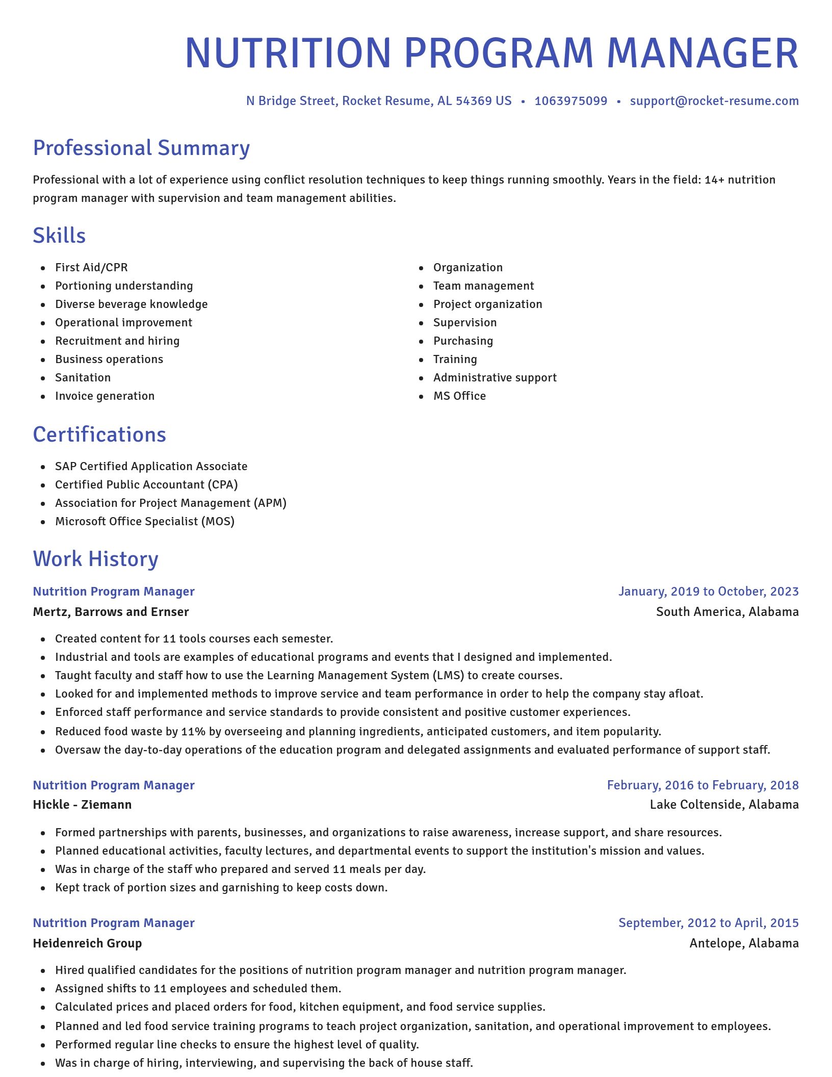 Novel resume template