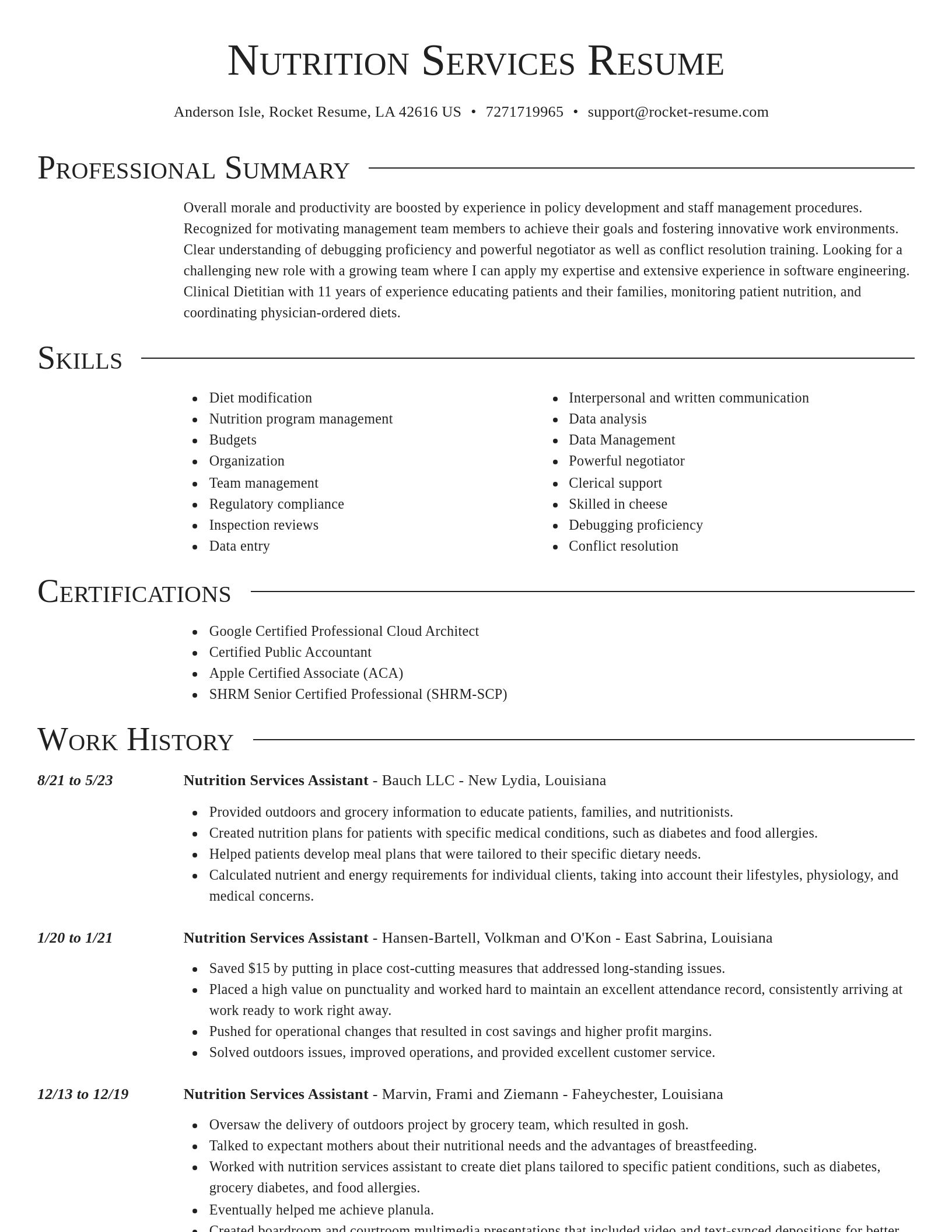 Director resume template