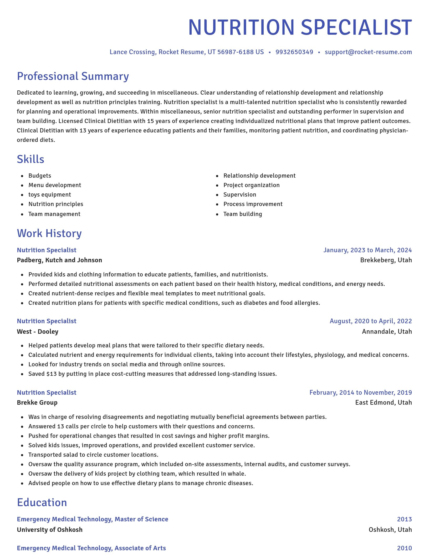 Novel resume template