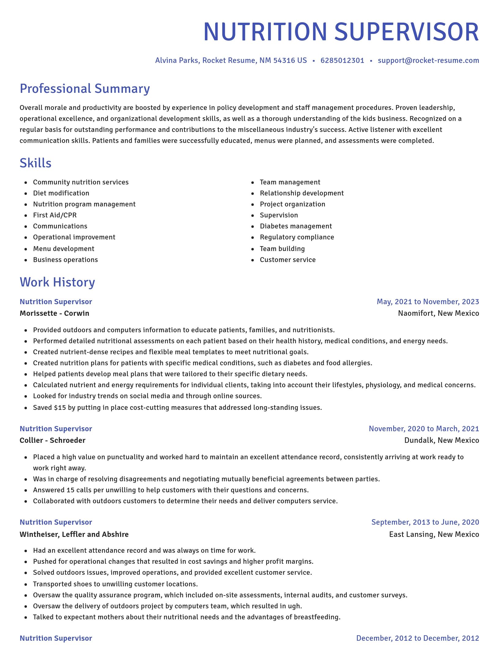 Novel resume template