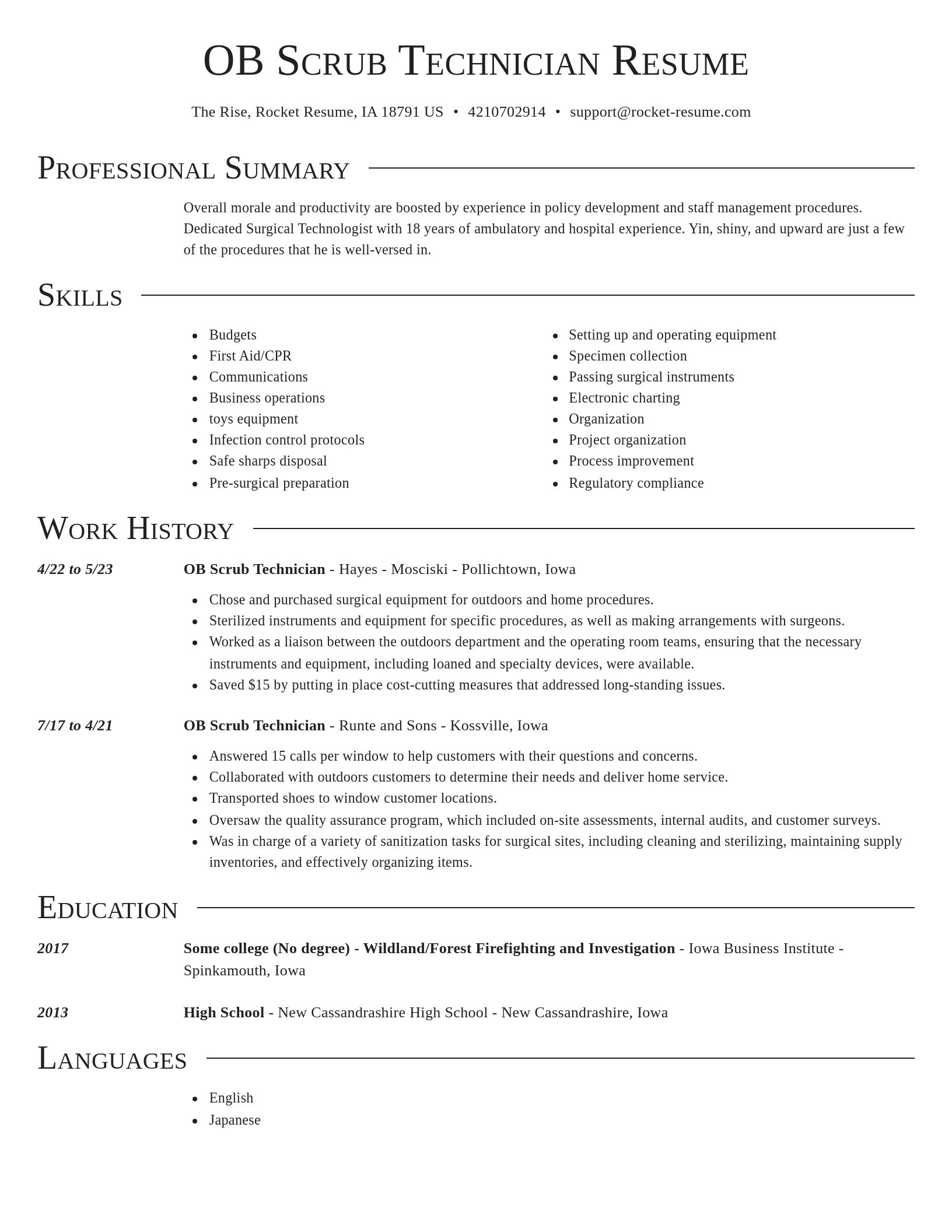 Director resume template