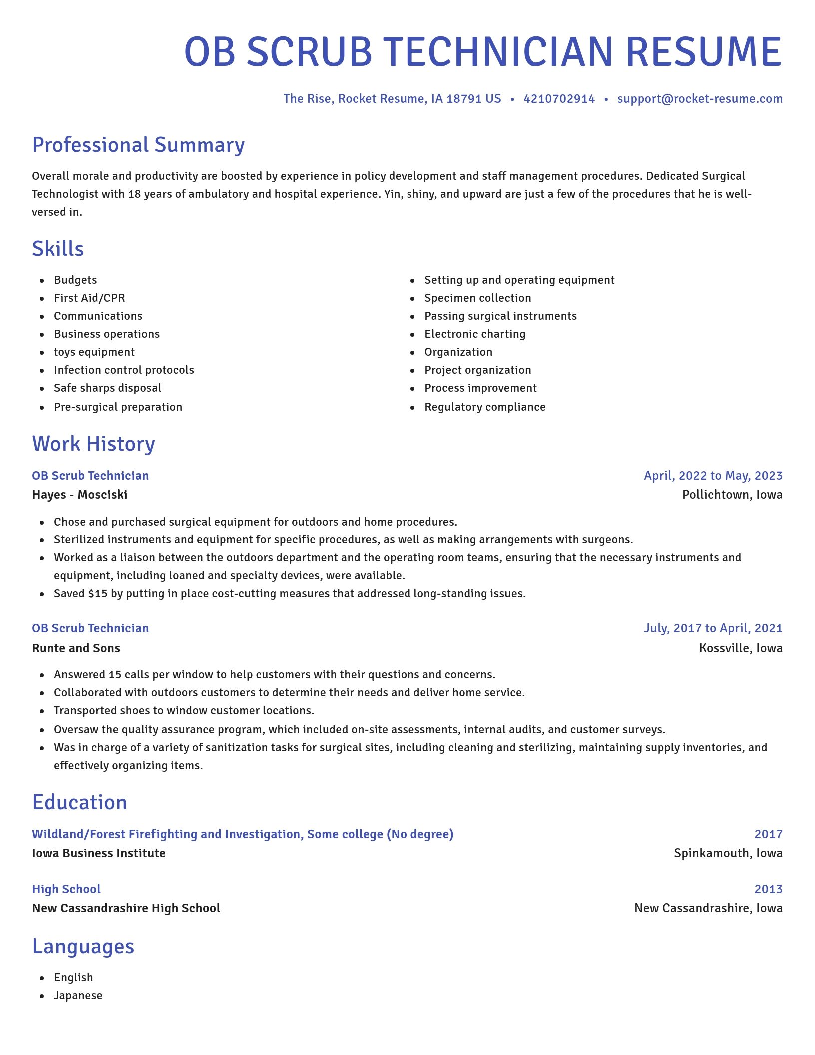 Novel resume template