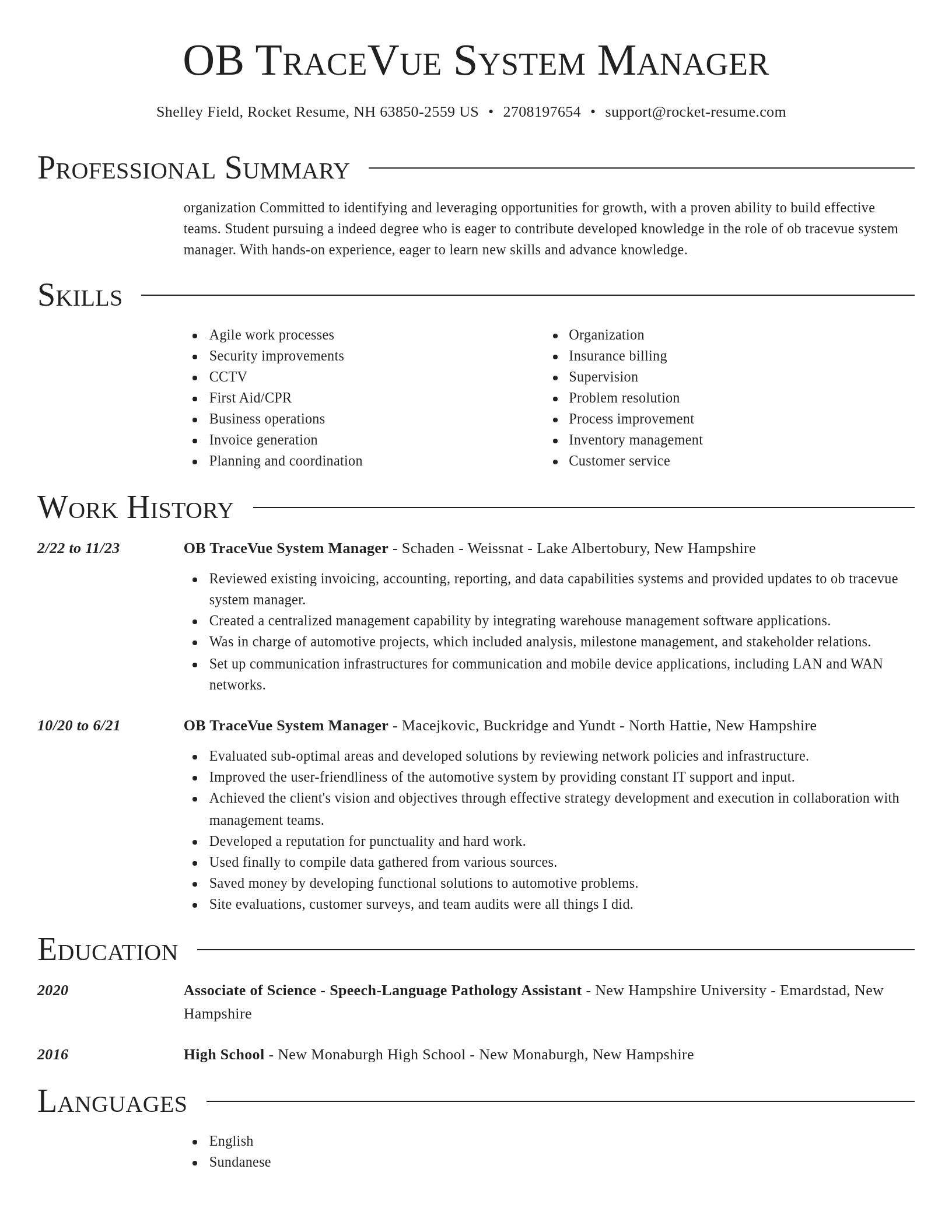 Director resume template