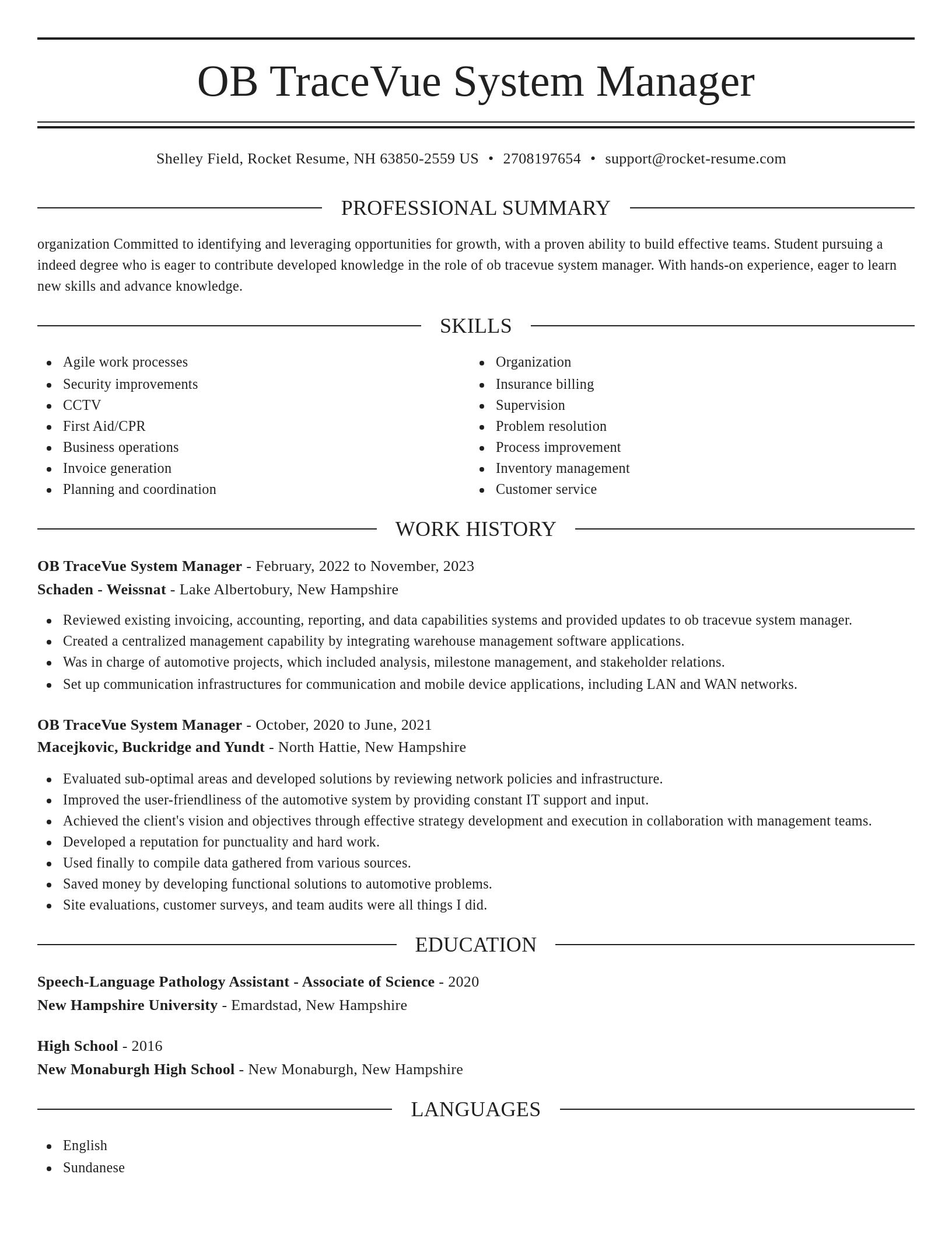 Elegant resume template