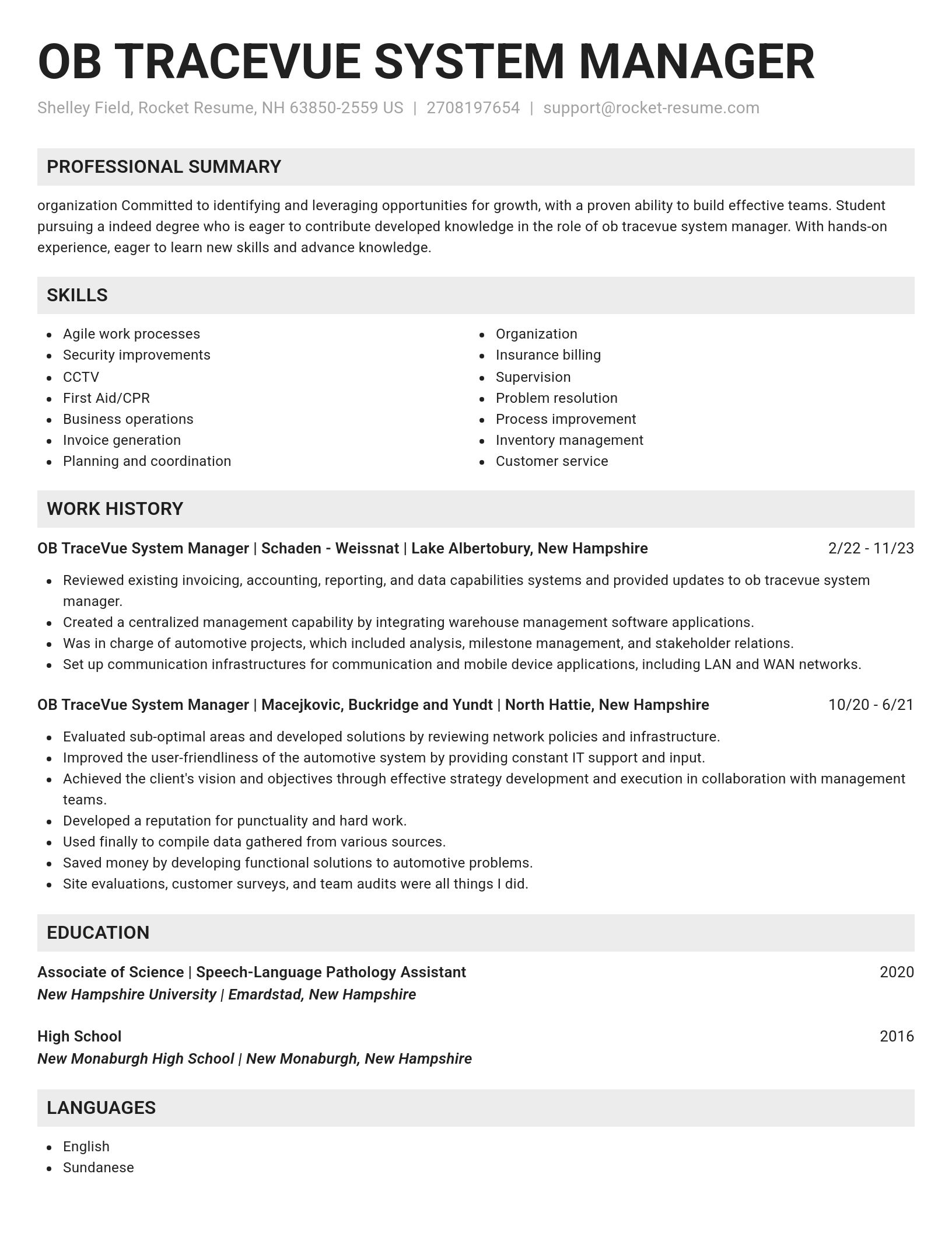 Genius resume template
