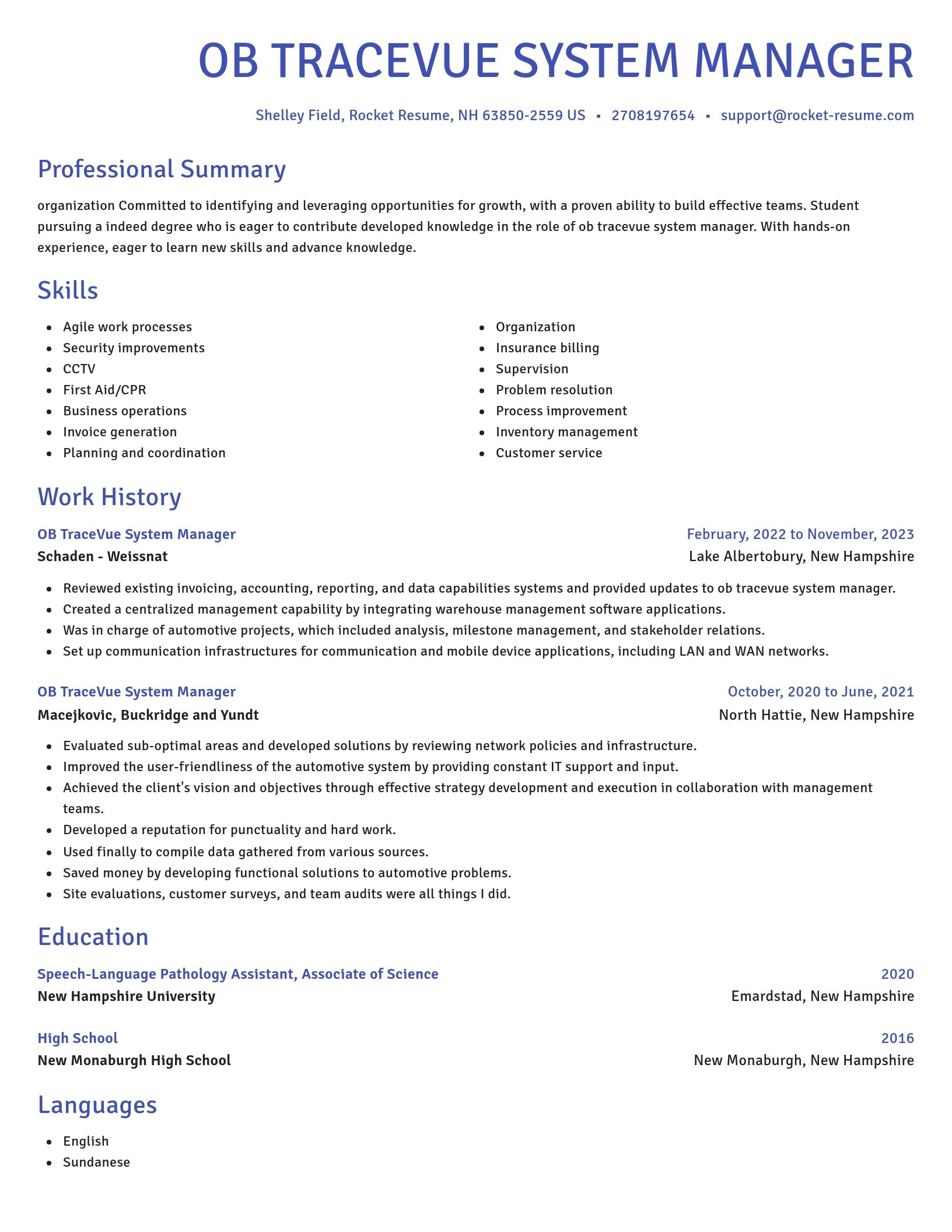 Novel resume template
