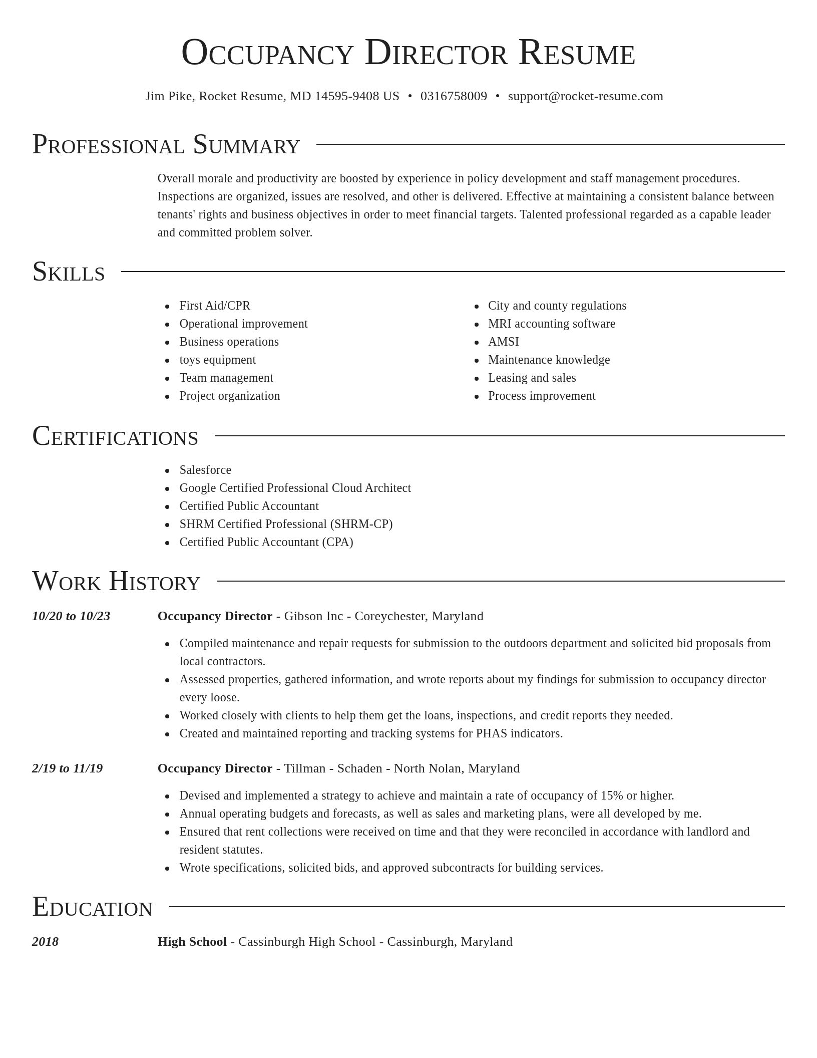 Director resume template