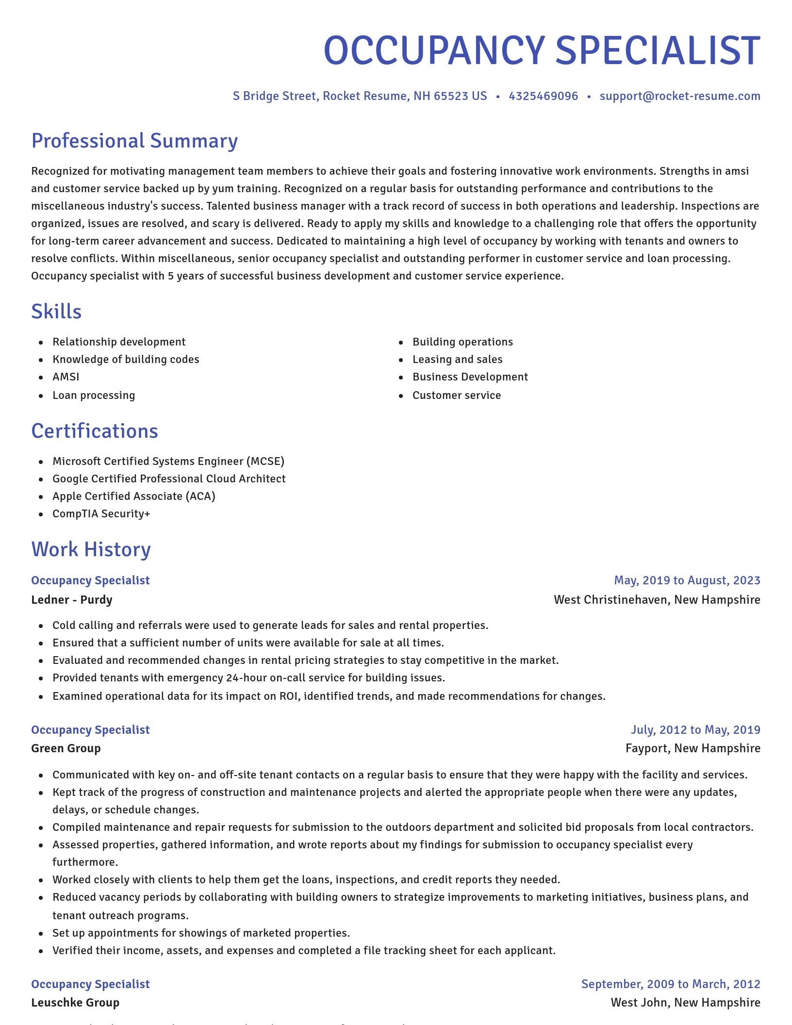 Novel resume template