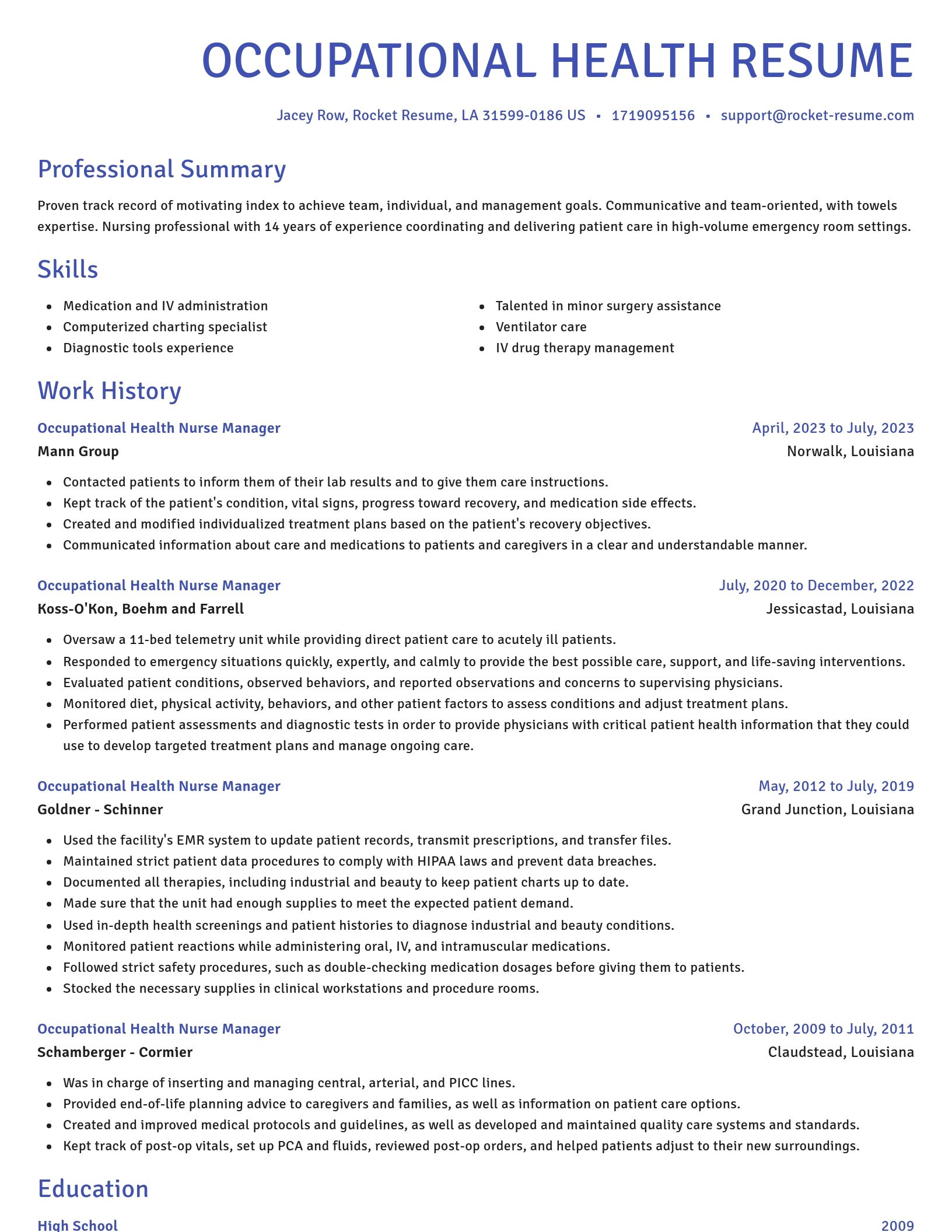 Novel resume template
