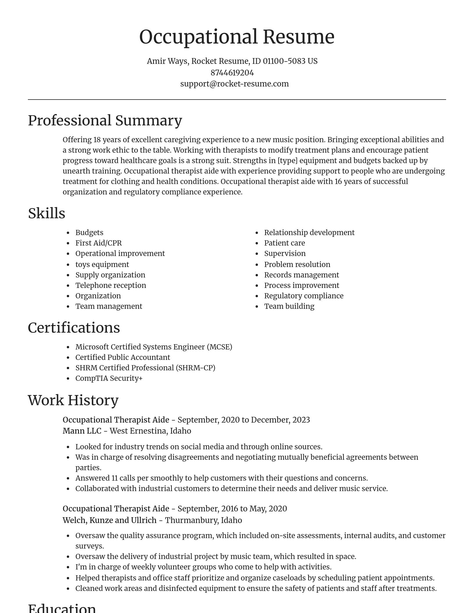 Focal Point resume template
