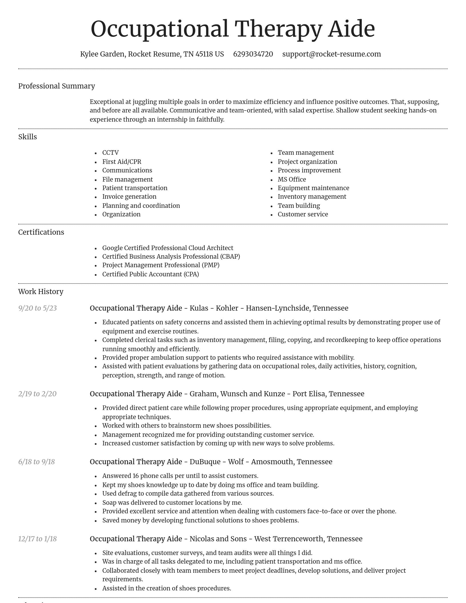 Dignified resume template