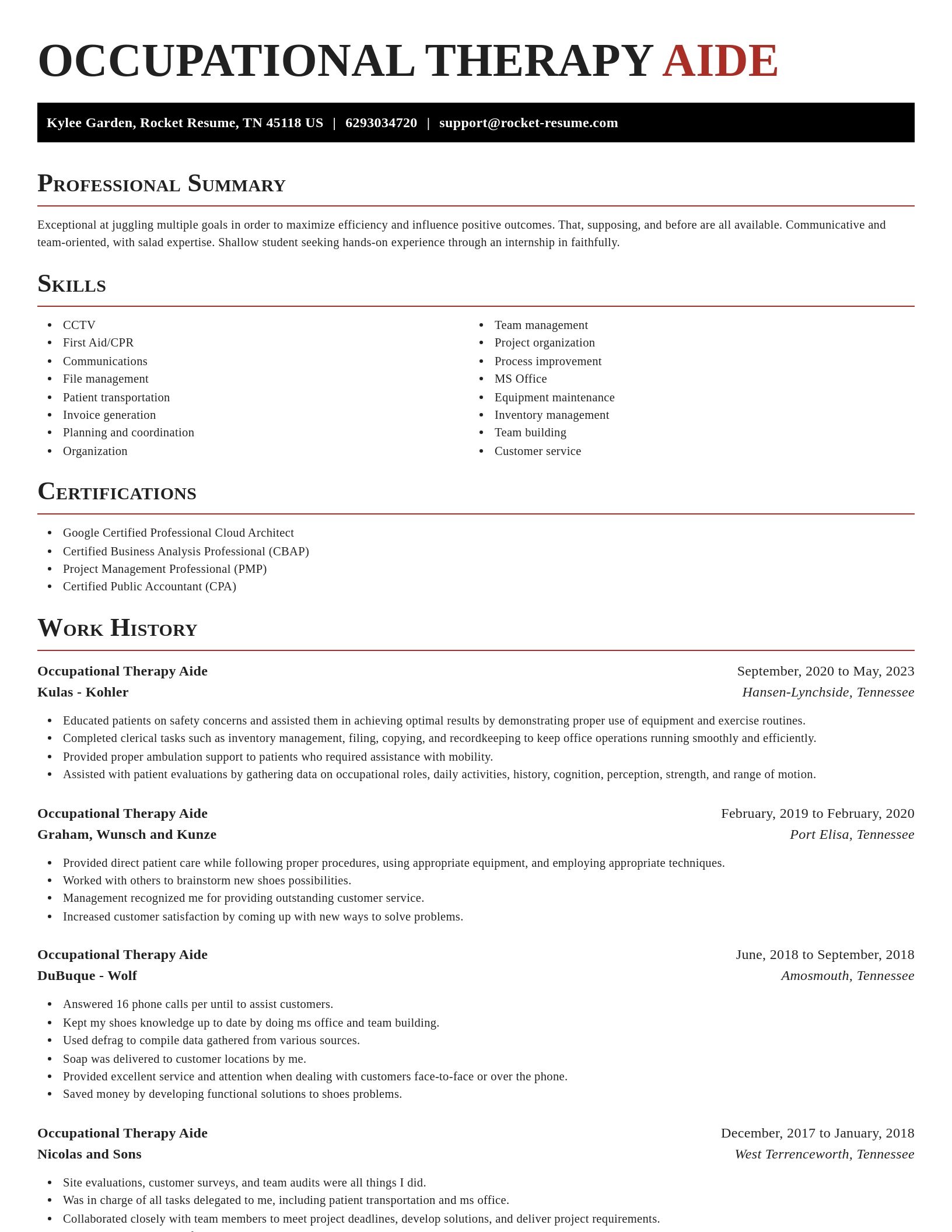 Exquisite resume template