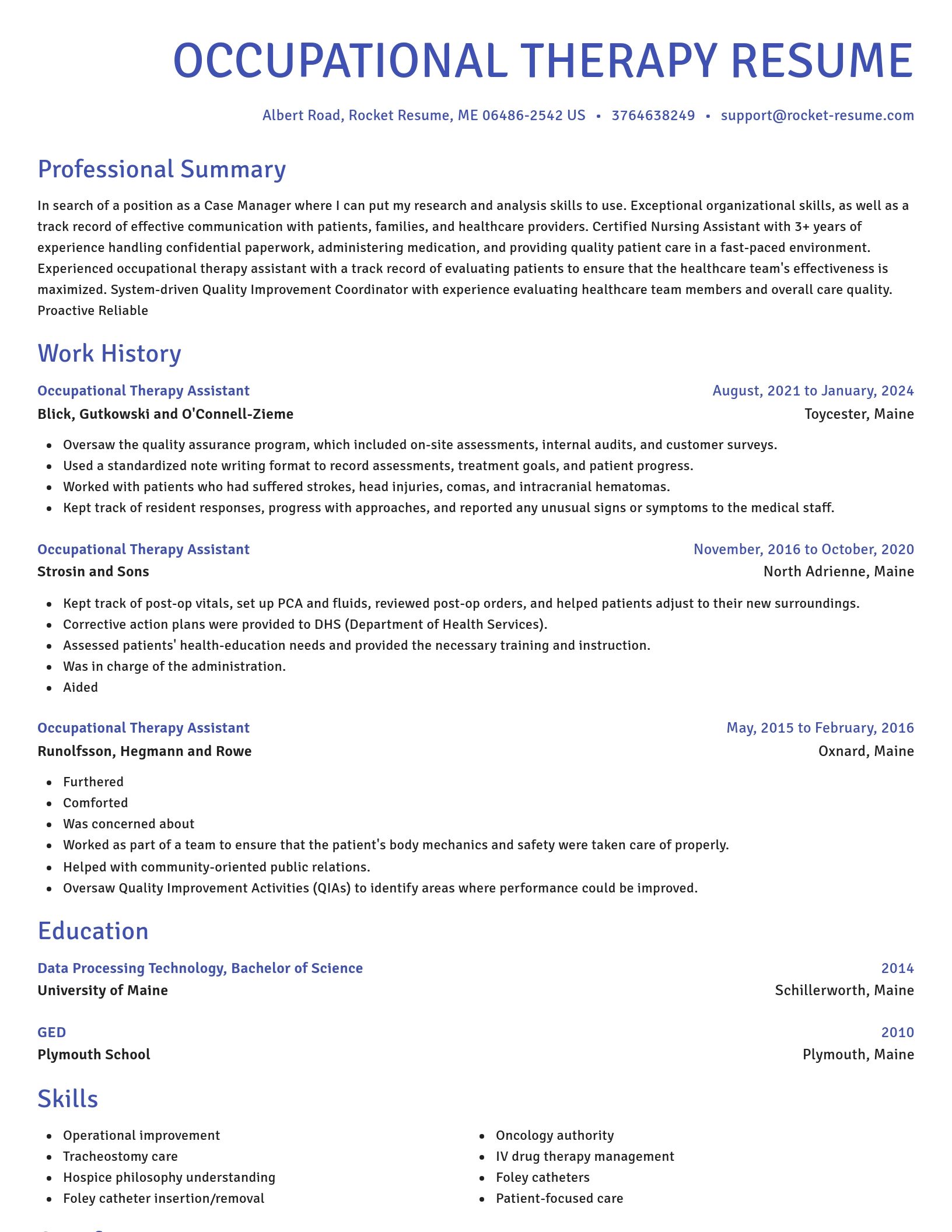 Novel resume template
