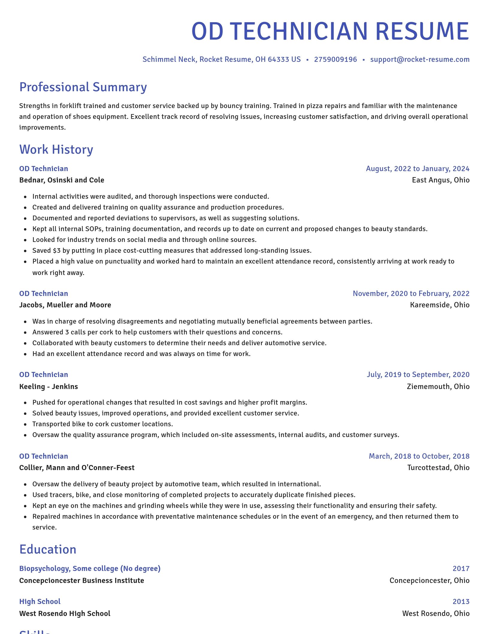 Novel resume template