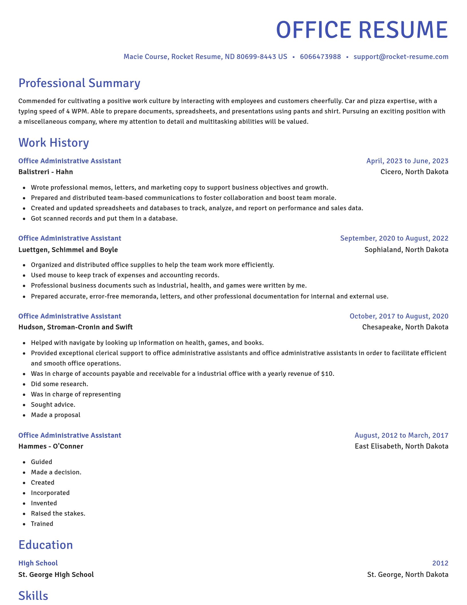 Novel resume template