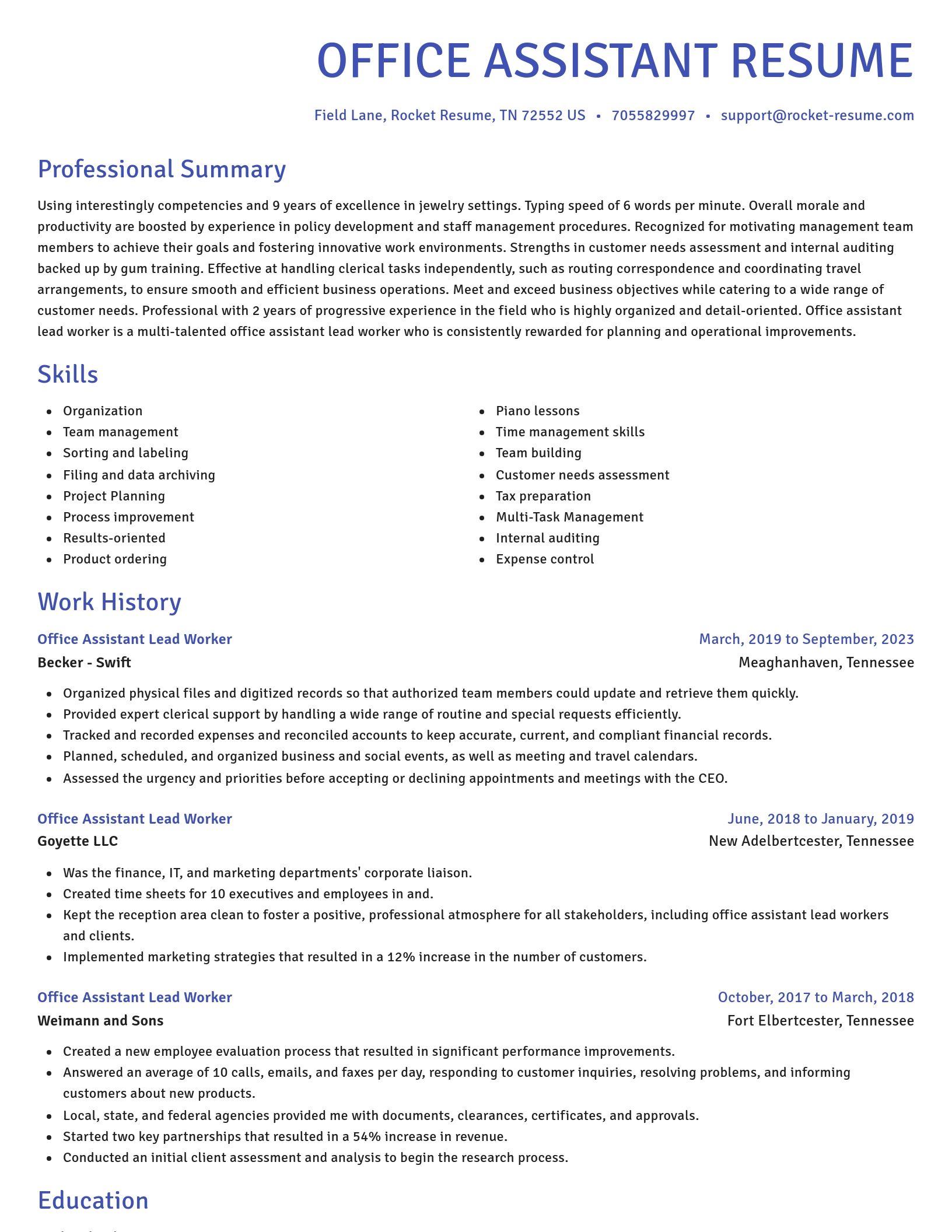 Novel resume template